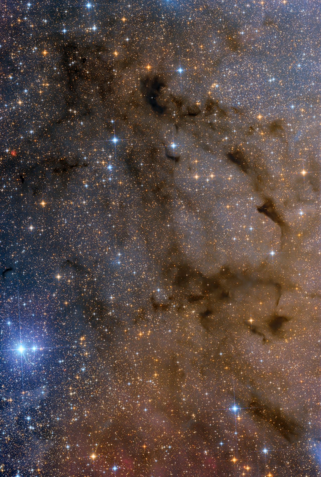 【黑区暗星云 】Barnard169