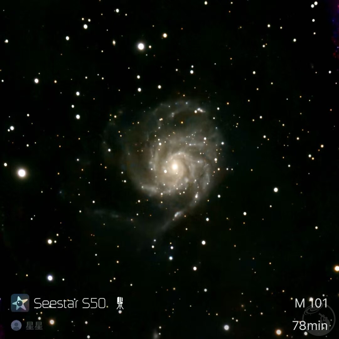 M51、M101、NGC2903