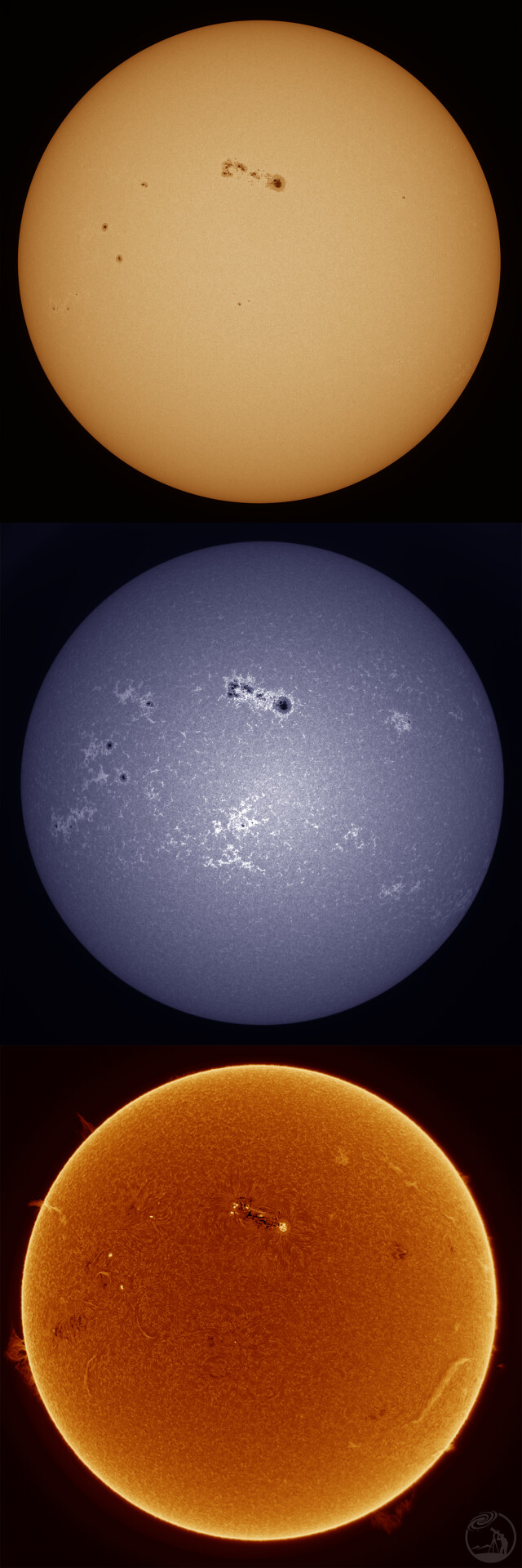 太陽三通道20260202-06