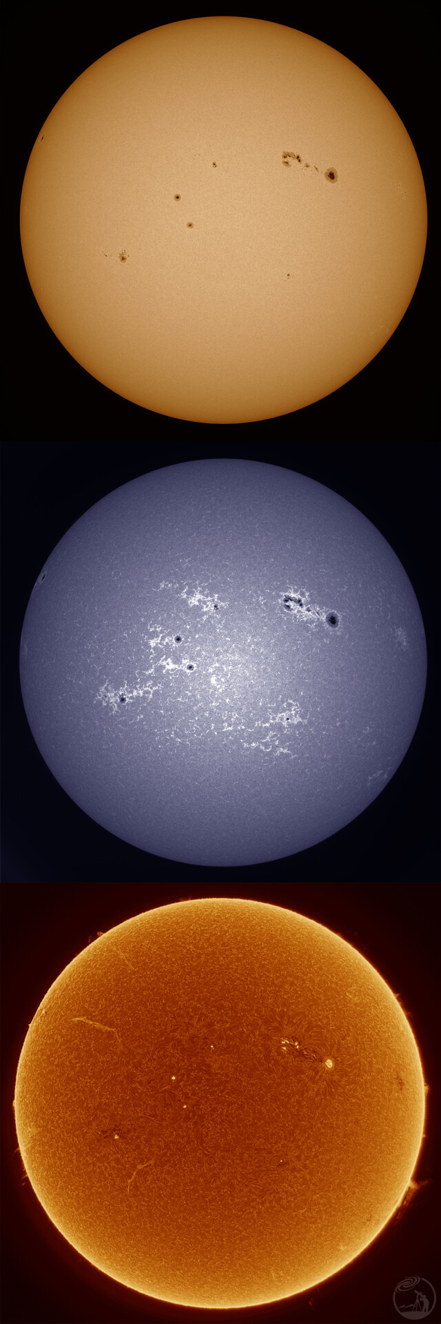 太陽三通道20260202-06