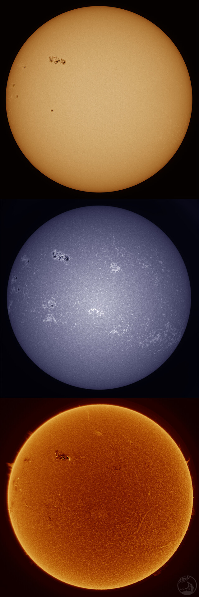 太陽三通道20260202-06