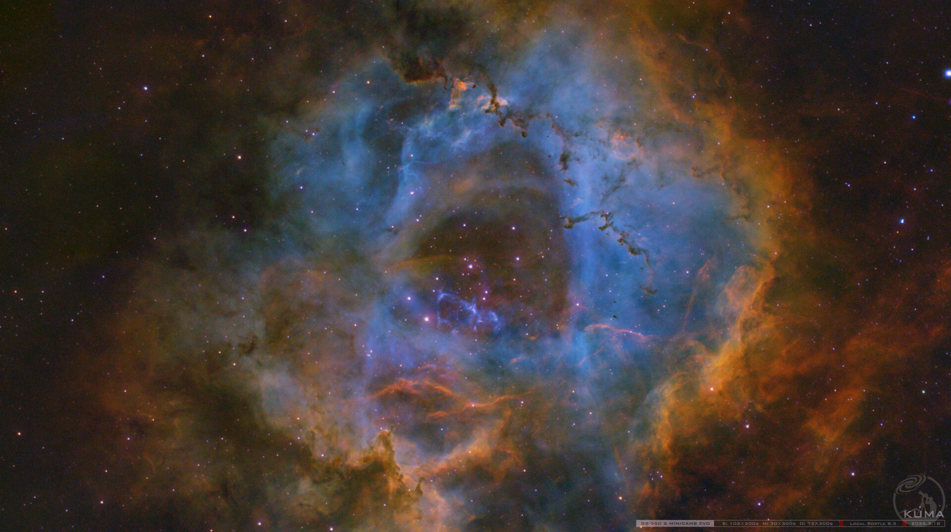 8.5级区17小时窄带玫瑰