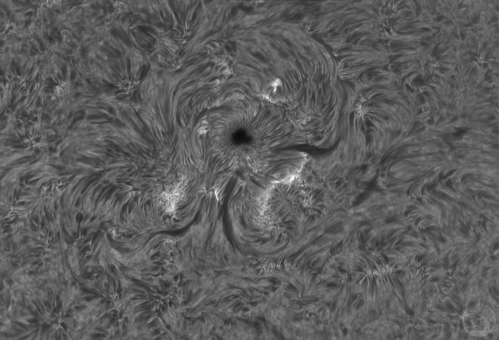 今天的日面 03-20