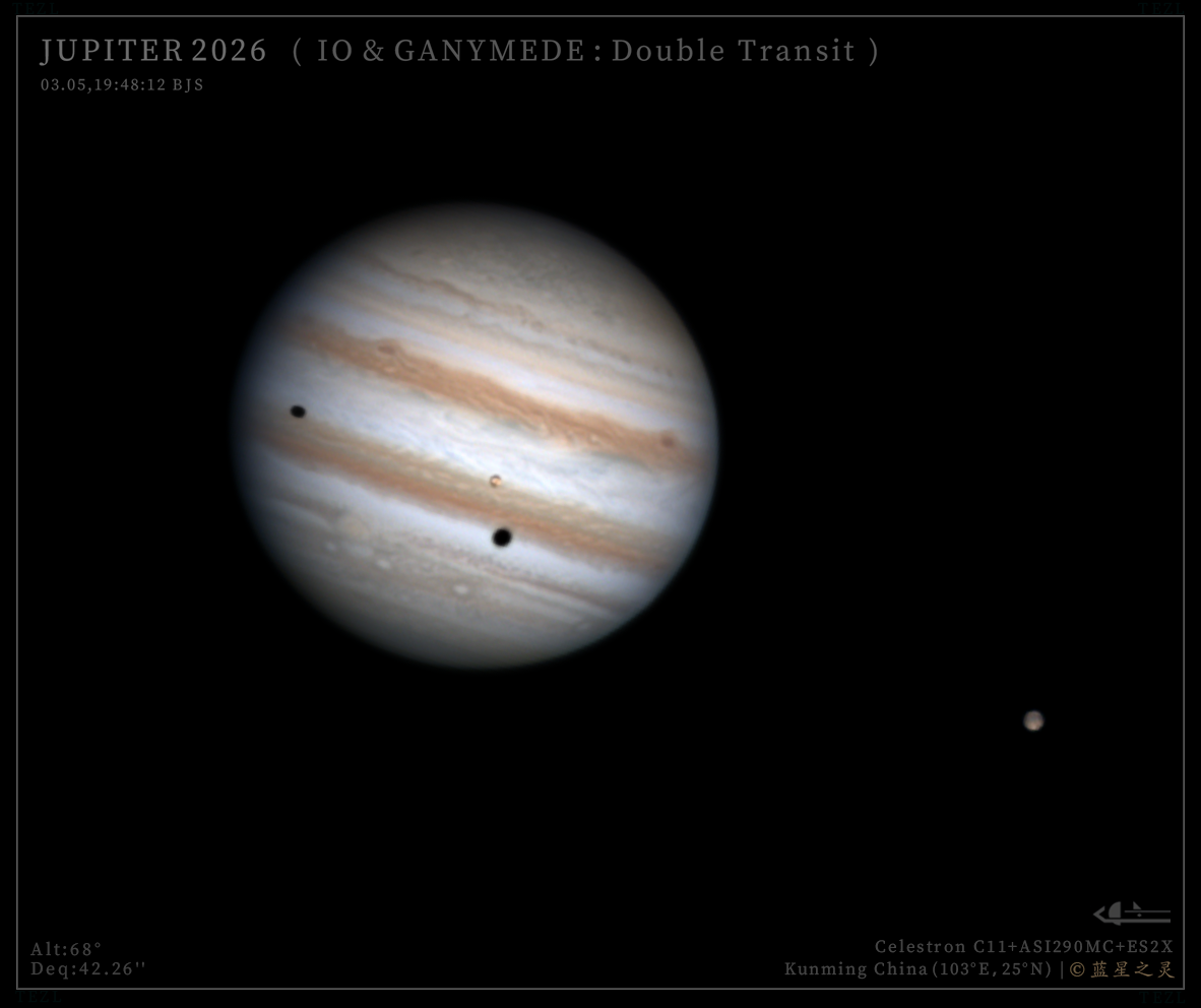 双卫影凌木（系列）2026