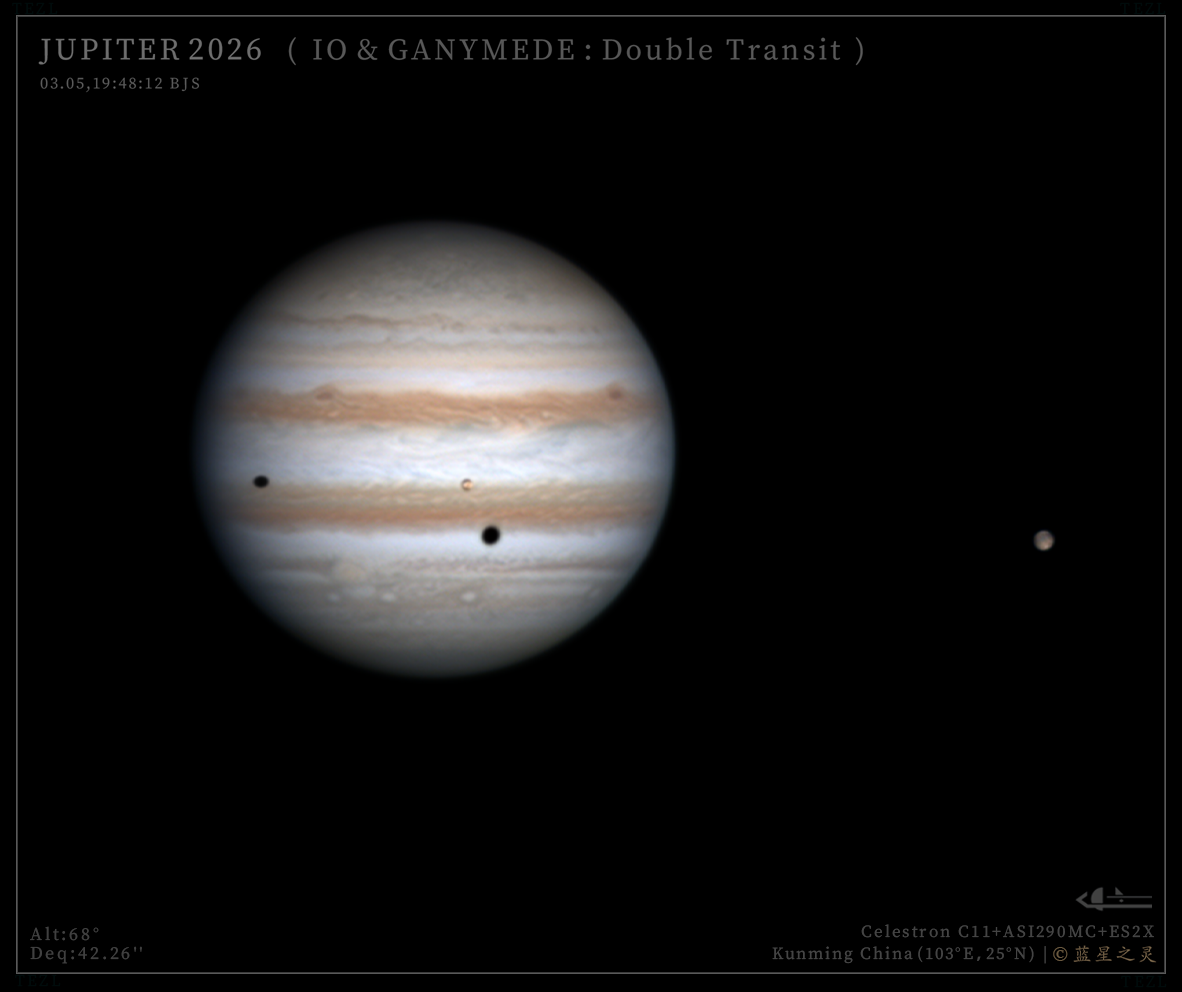 双卫影凌木（系列）2026