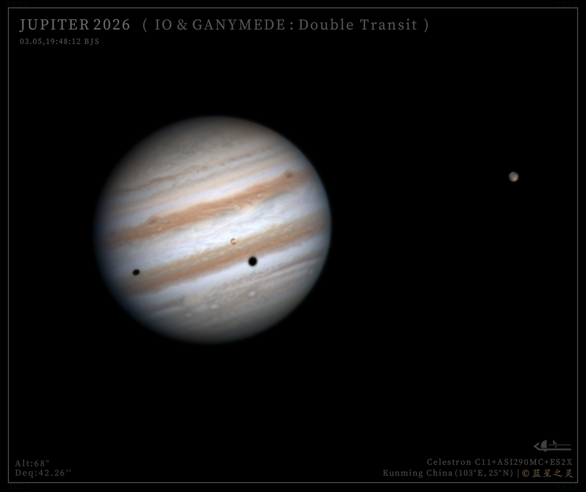 双卫影凌木（系列）2026