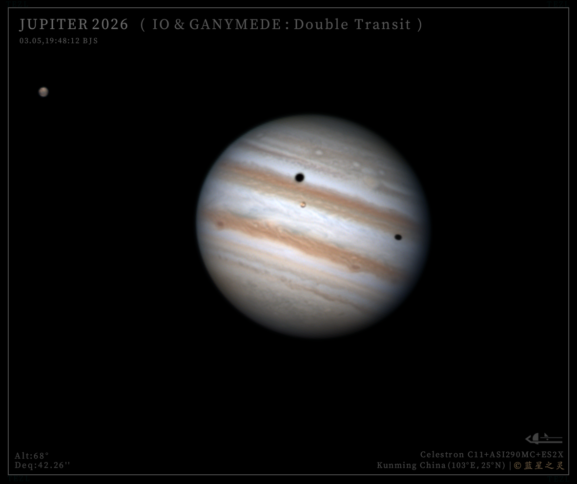 双卫影凌木（系列）2026