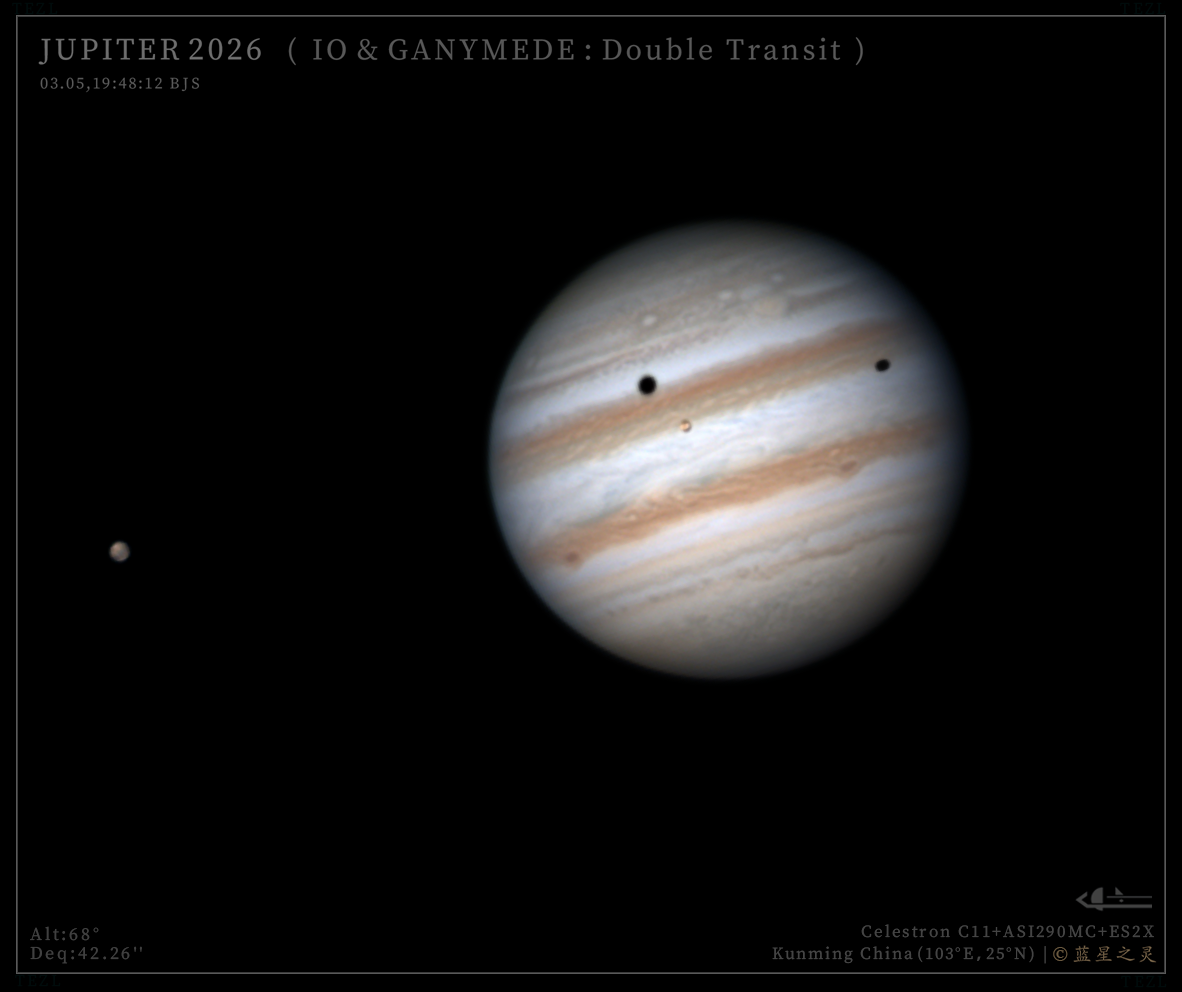 双卫影凌木（系列）2026