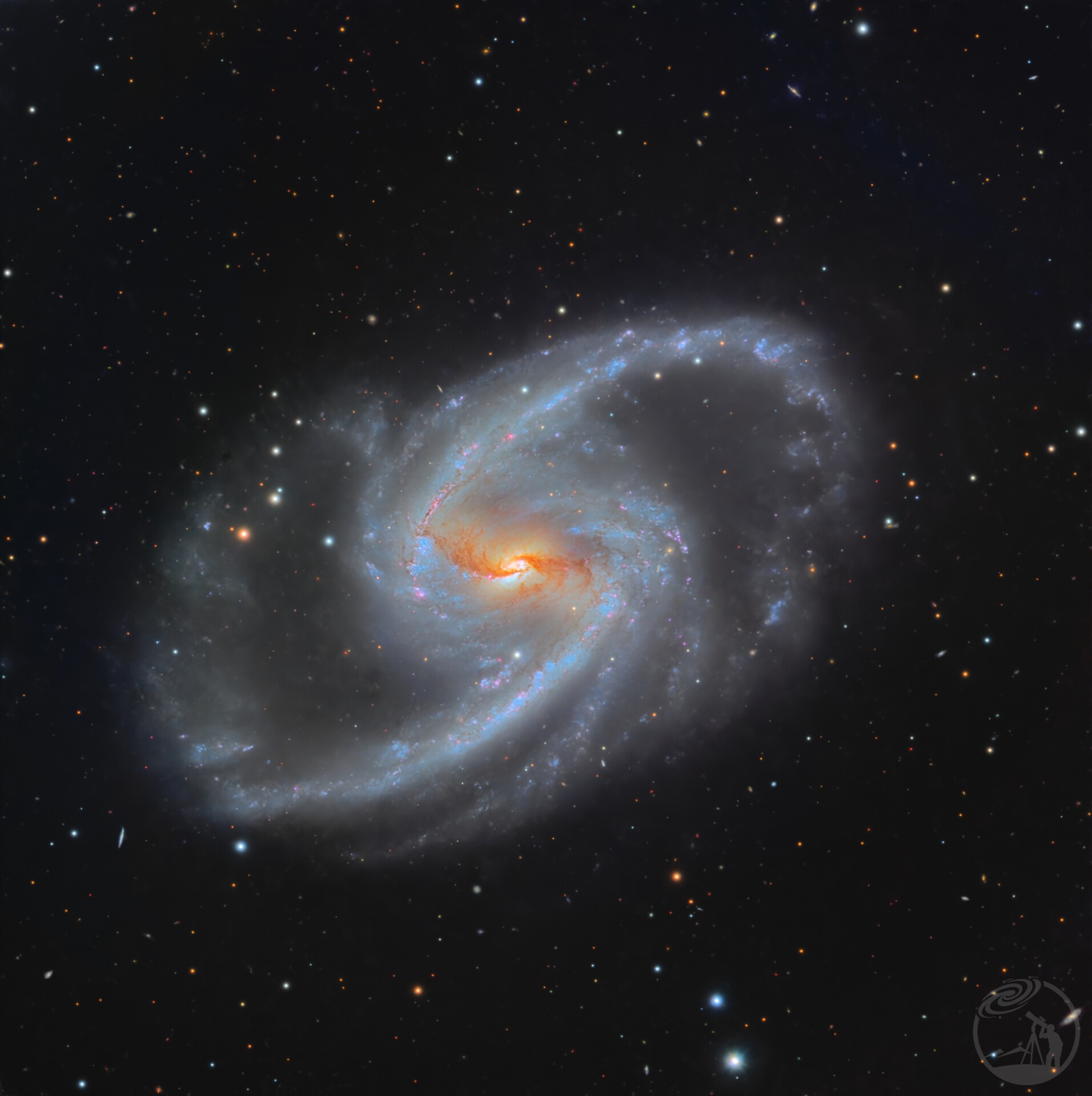 NGC1365