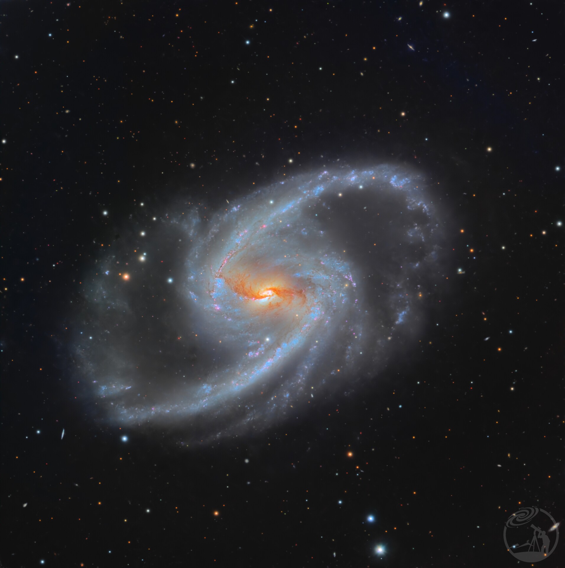 NGC1365