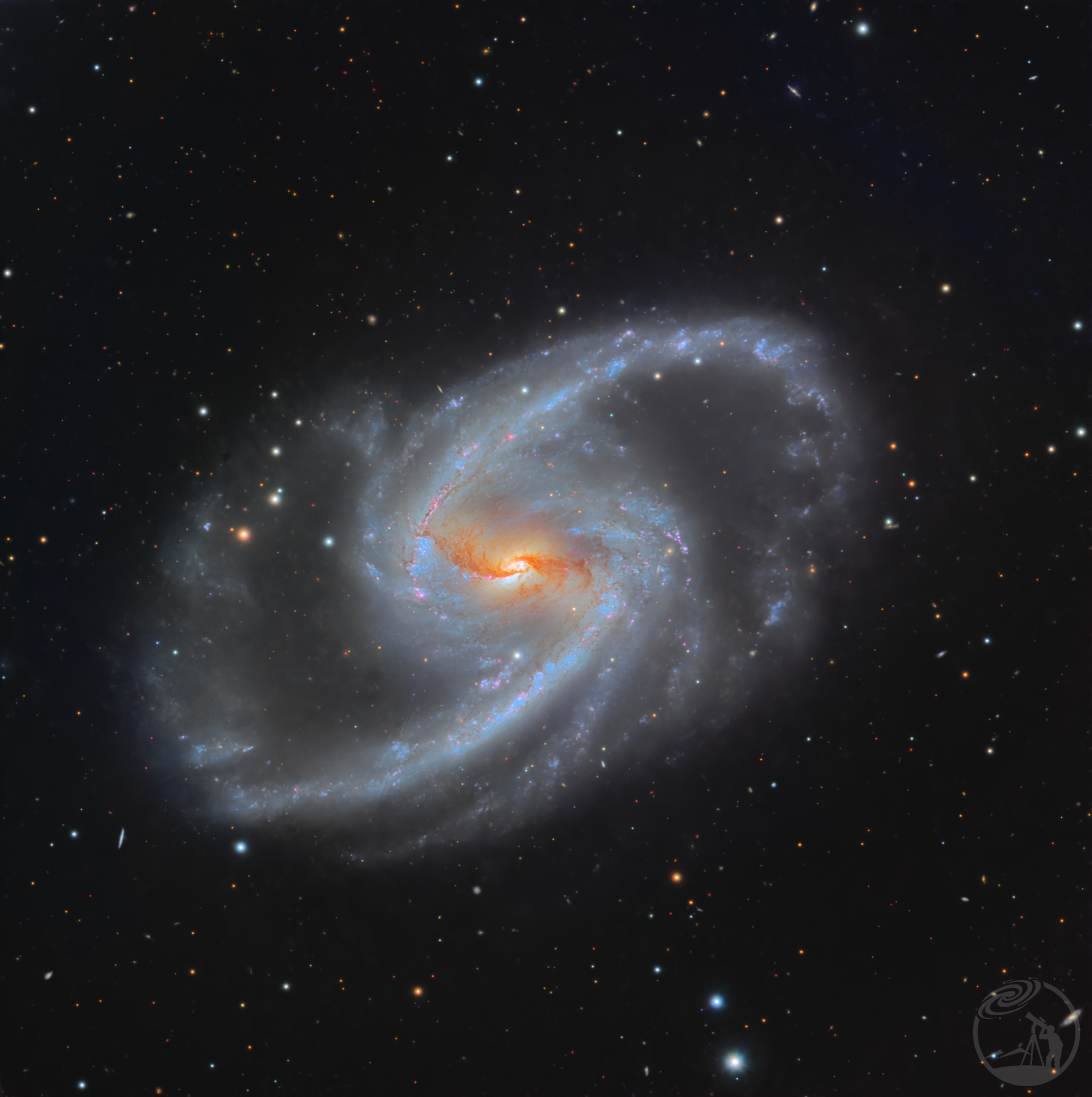 NGC1365