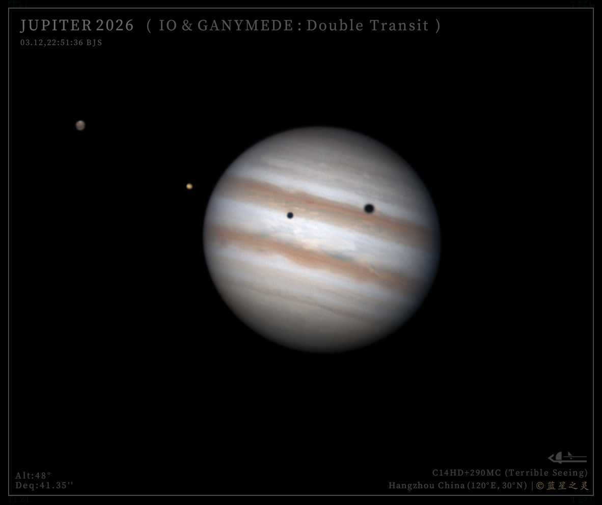 双卫影凌木（系列）2026