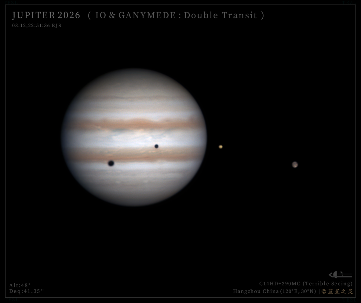 双卫影凌木（系列）2026