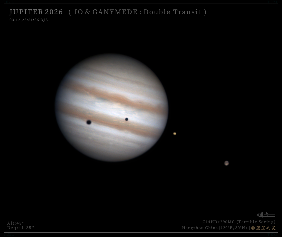 双卫影凌木（系列）2026