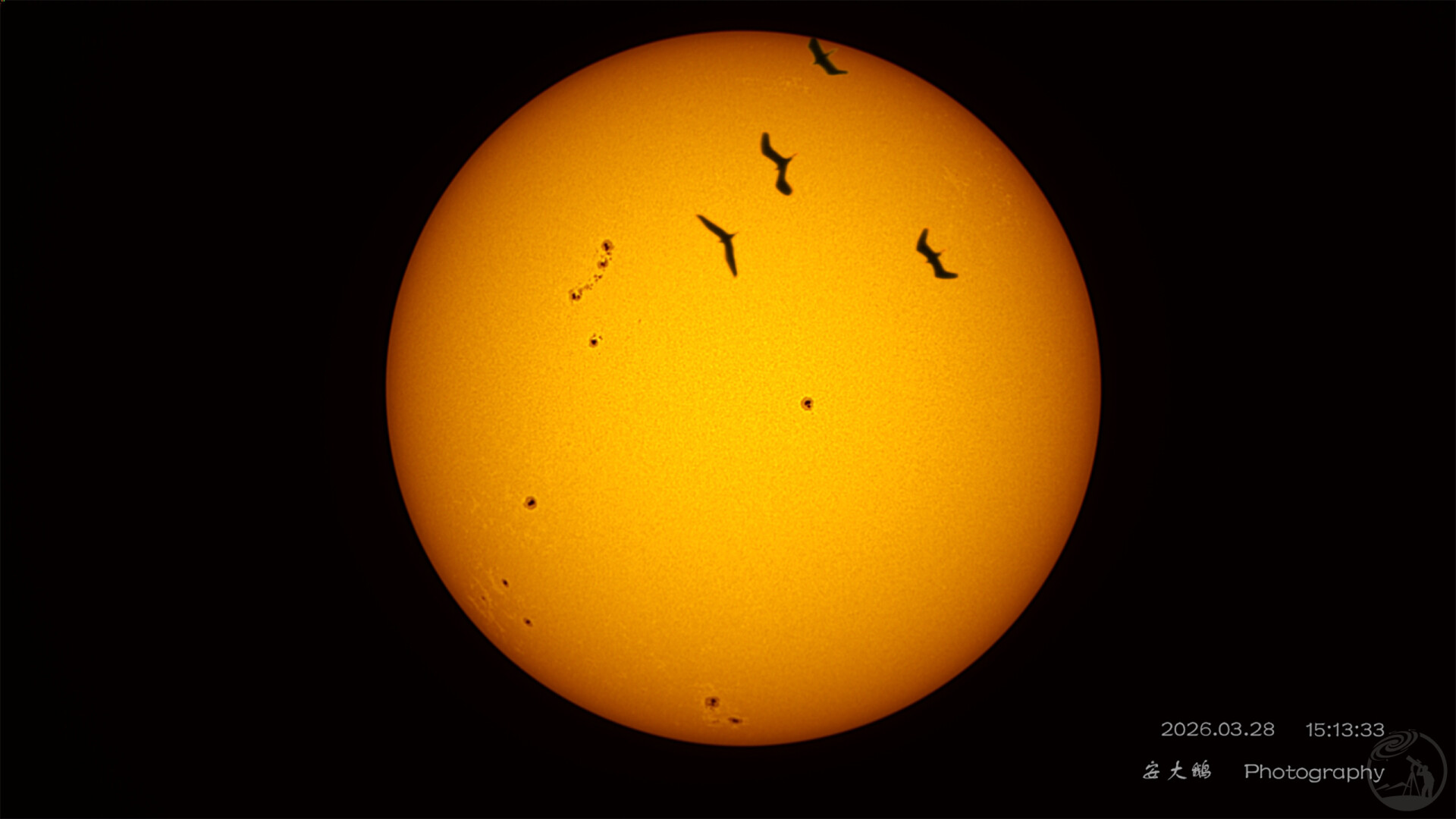 一瞬:飞鸟与太阳黑子