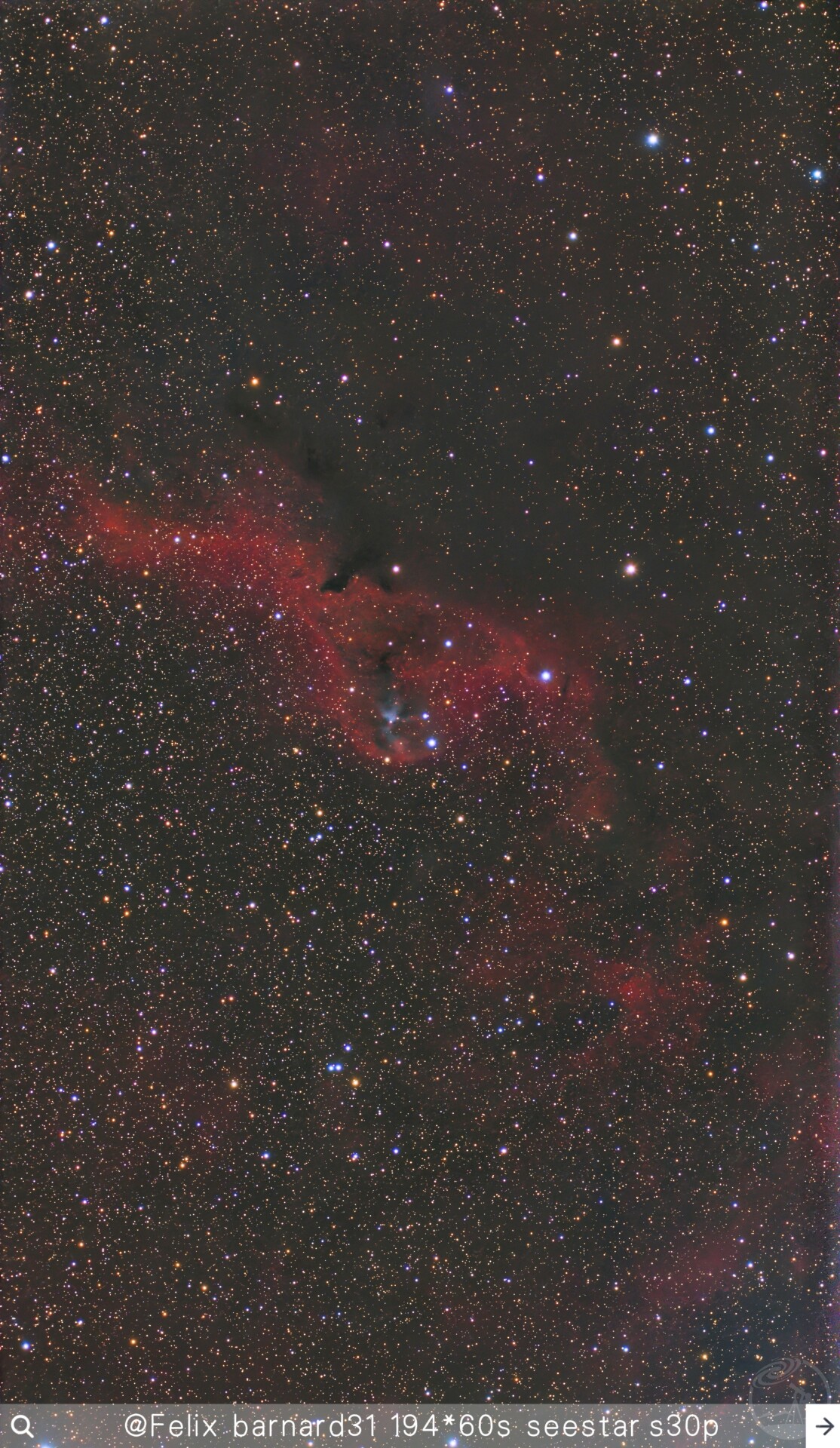 barnard31