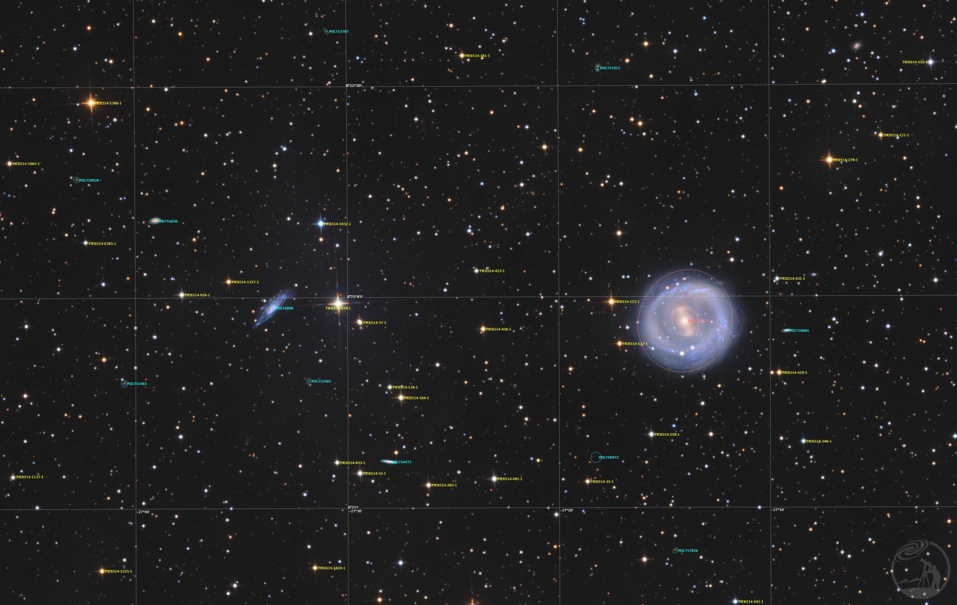NGC2217