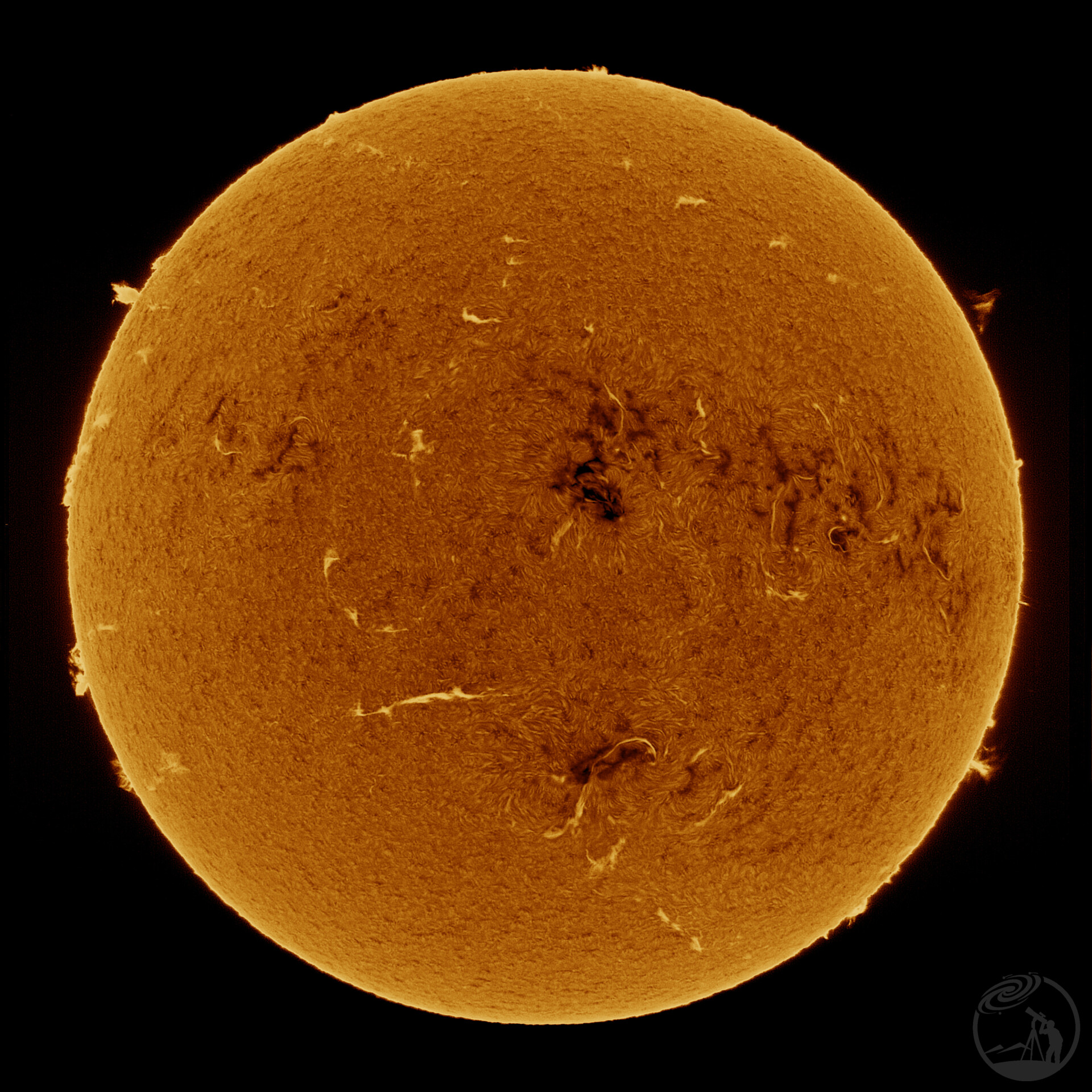 20260404太阳光谱仪线扫成像Halpha/CaH