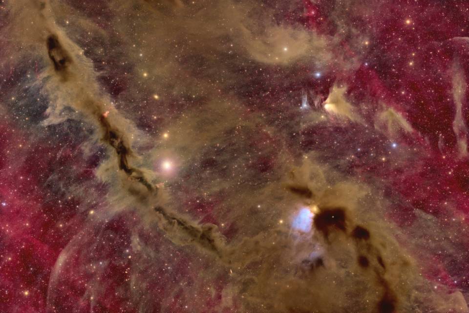 Barnard 10 & LDN 1495