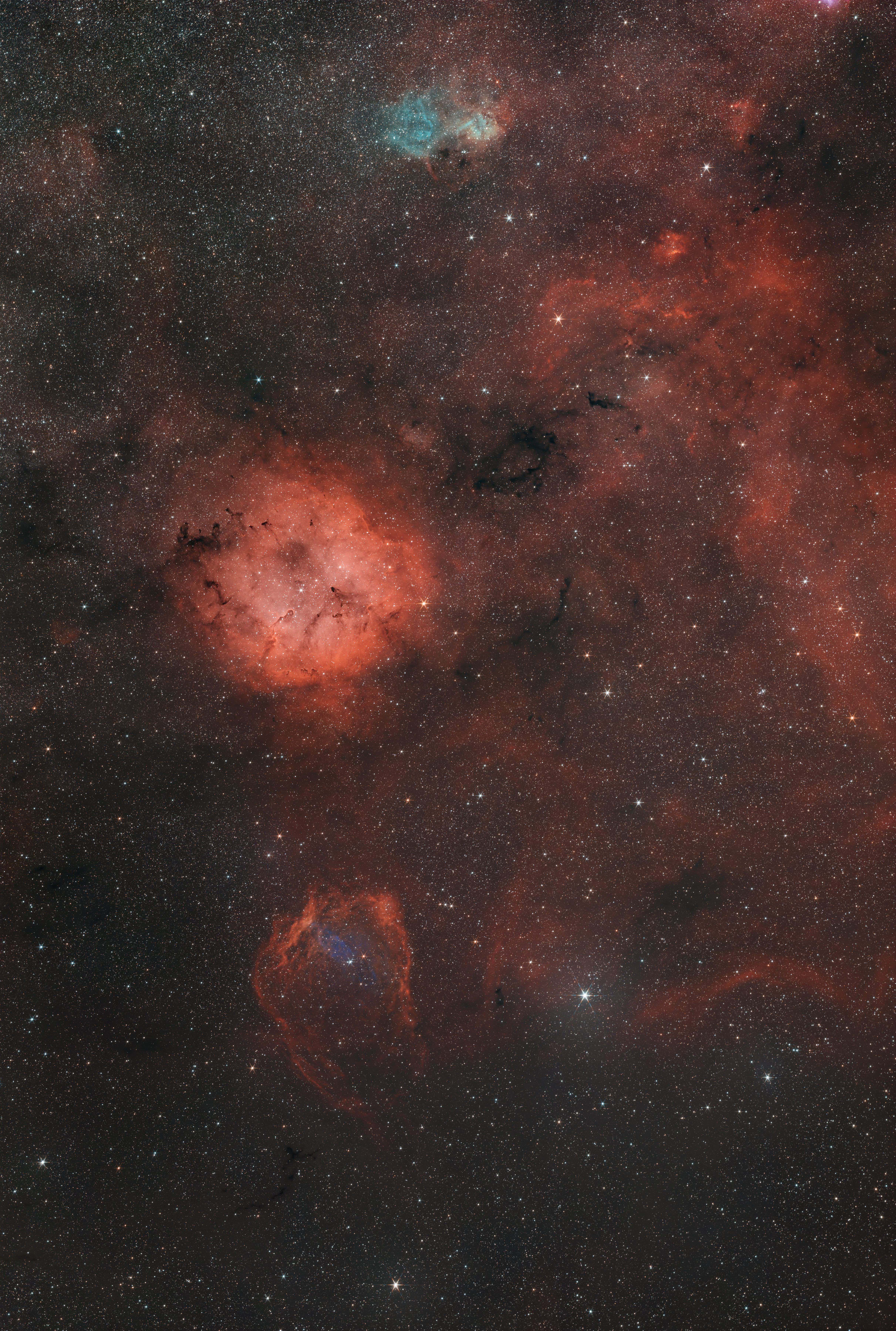 三阳135广域象鼻星云 鱿鱼星云