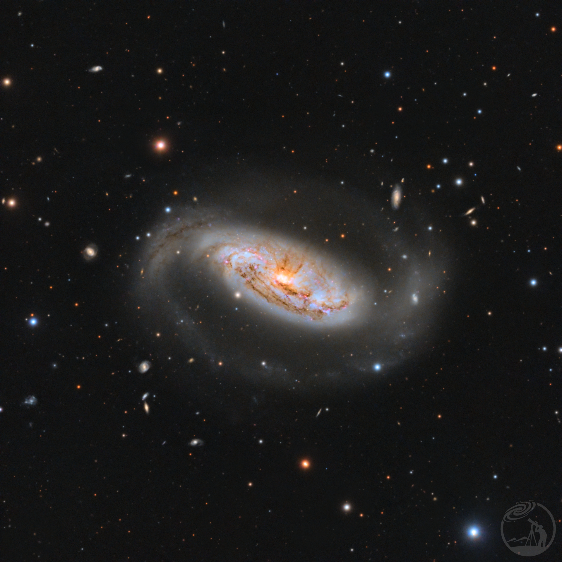NGC1808