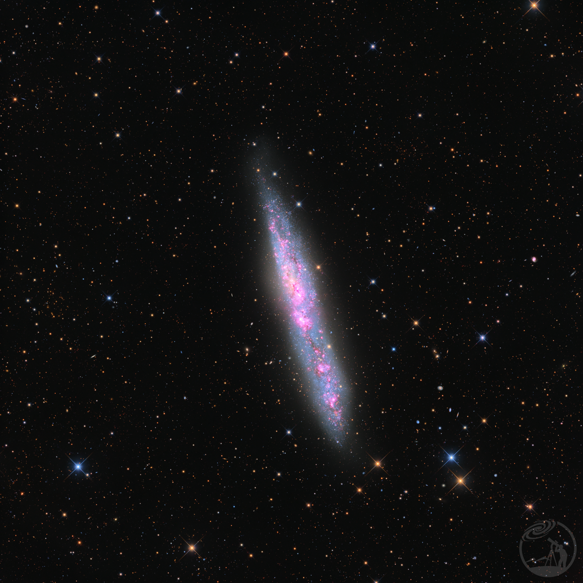 NGC55