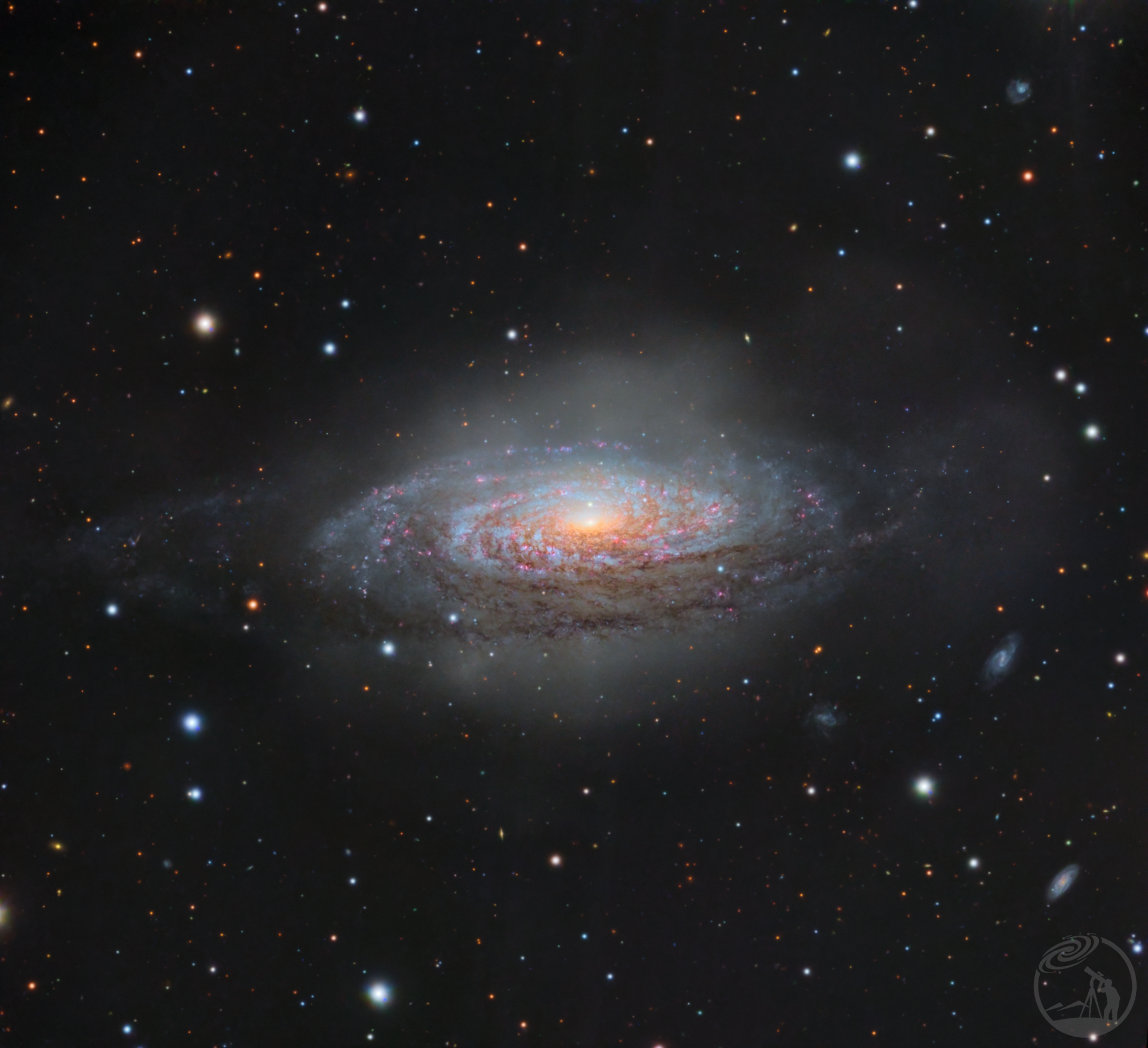 狮子座的气泡蹦出颗龙珠