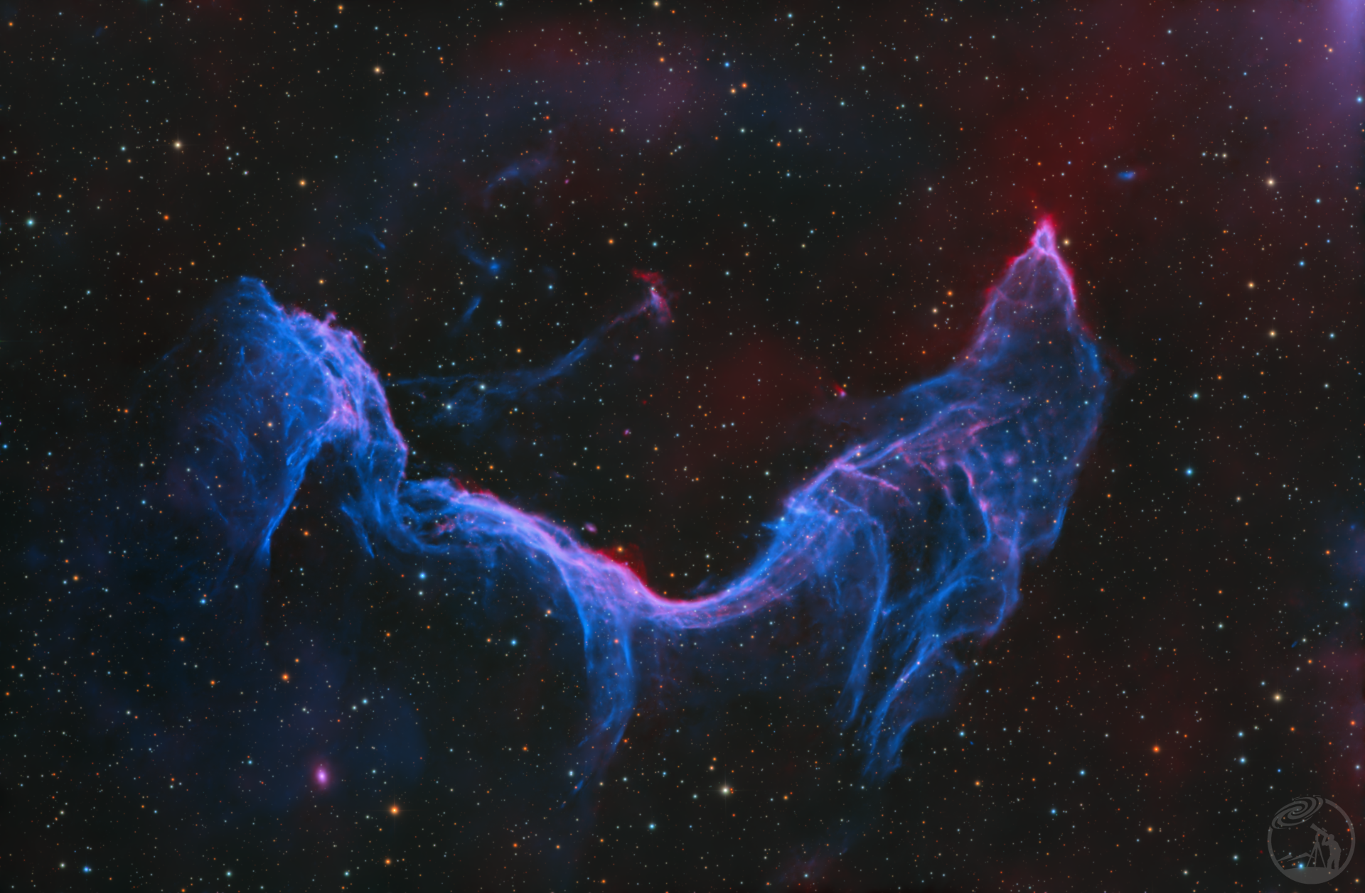 唤潮妖姬——ESO-217-25