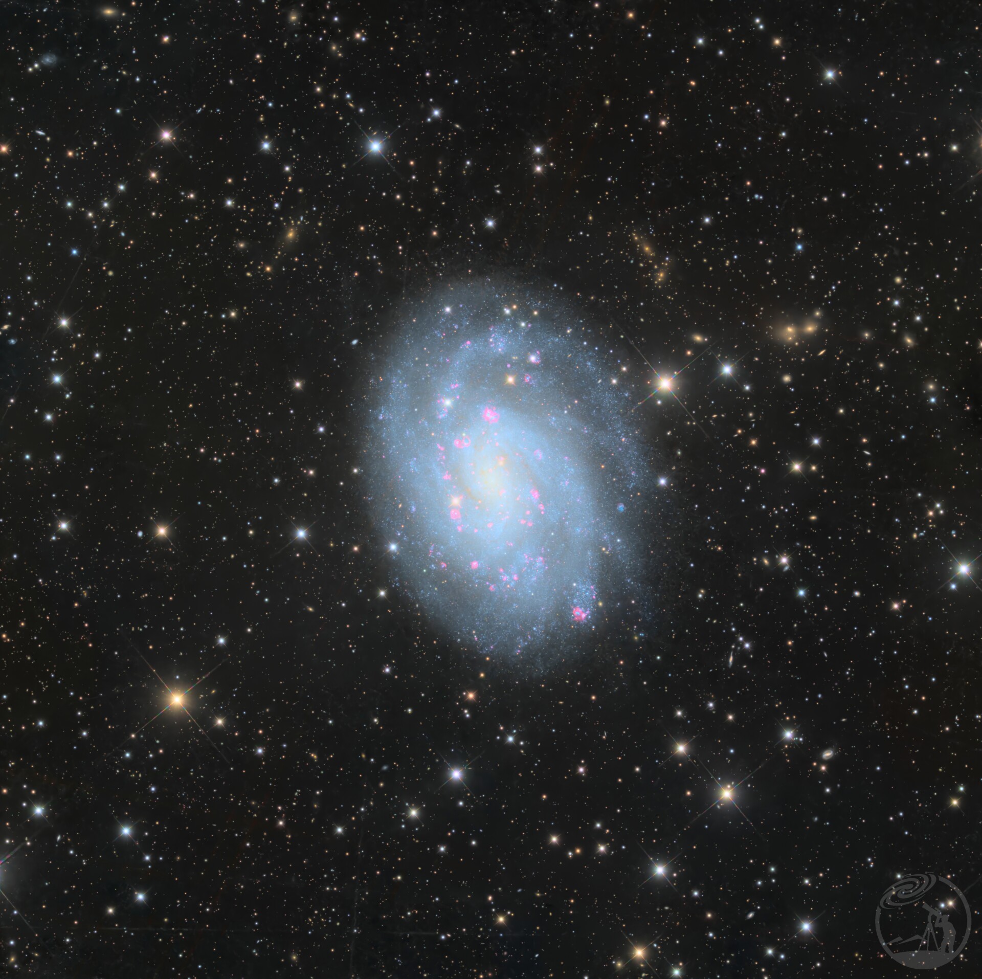 NGC300