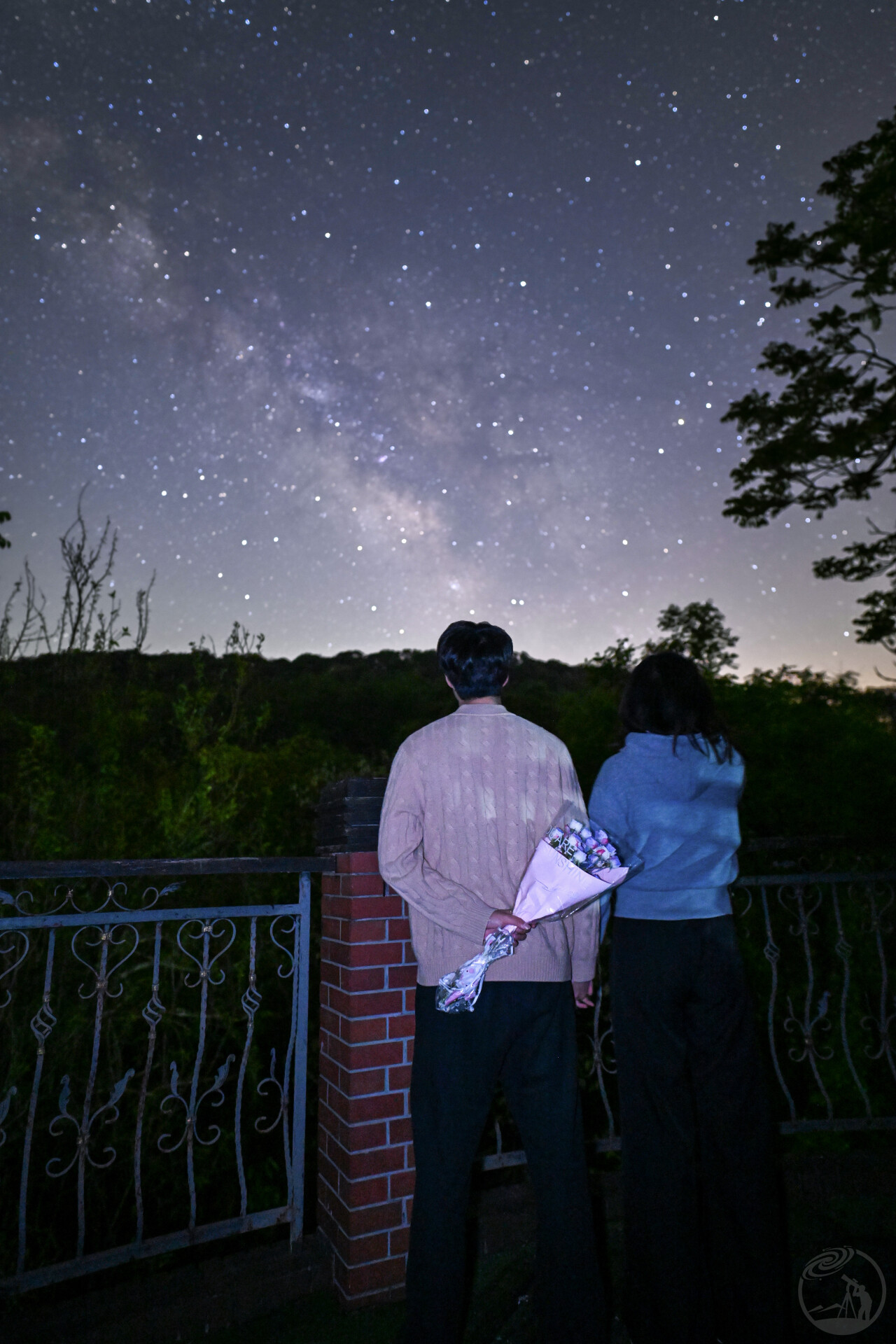 星空下的狗粮
