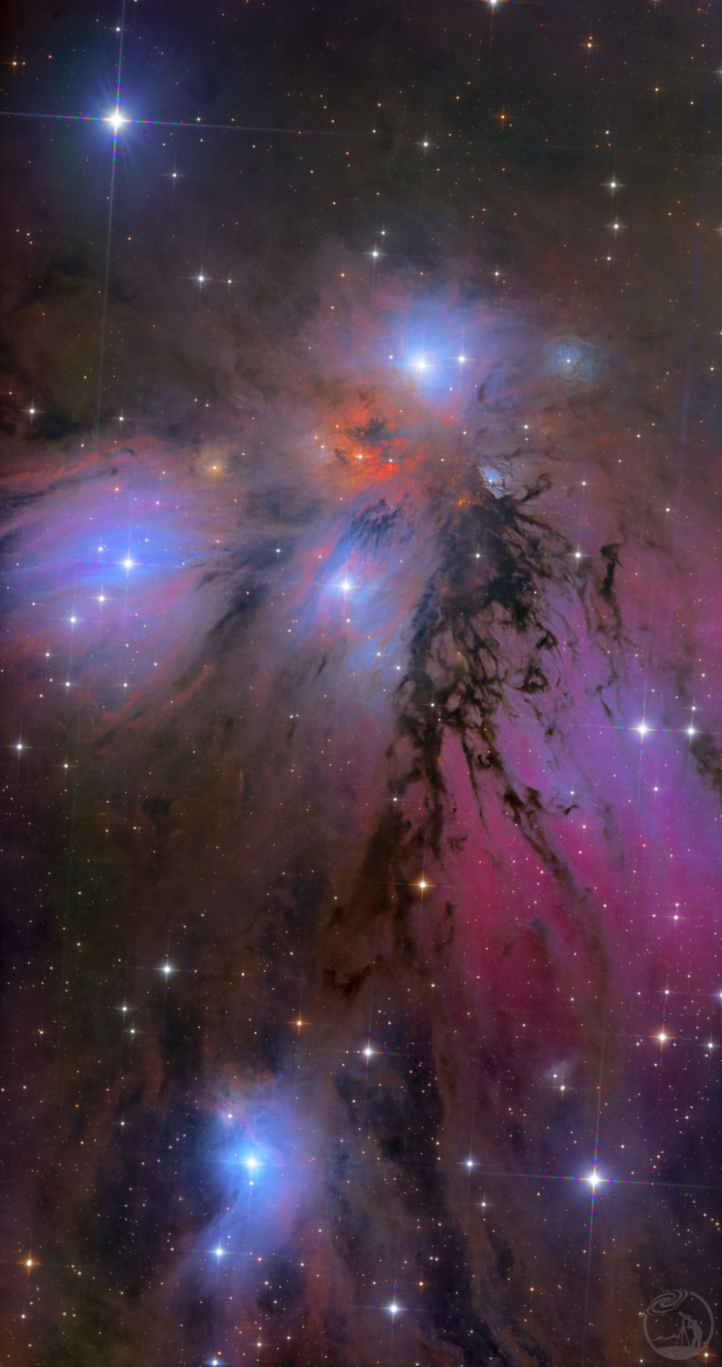Frozen Wings | NGC2170