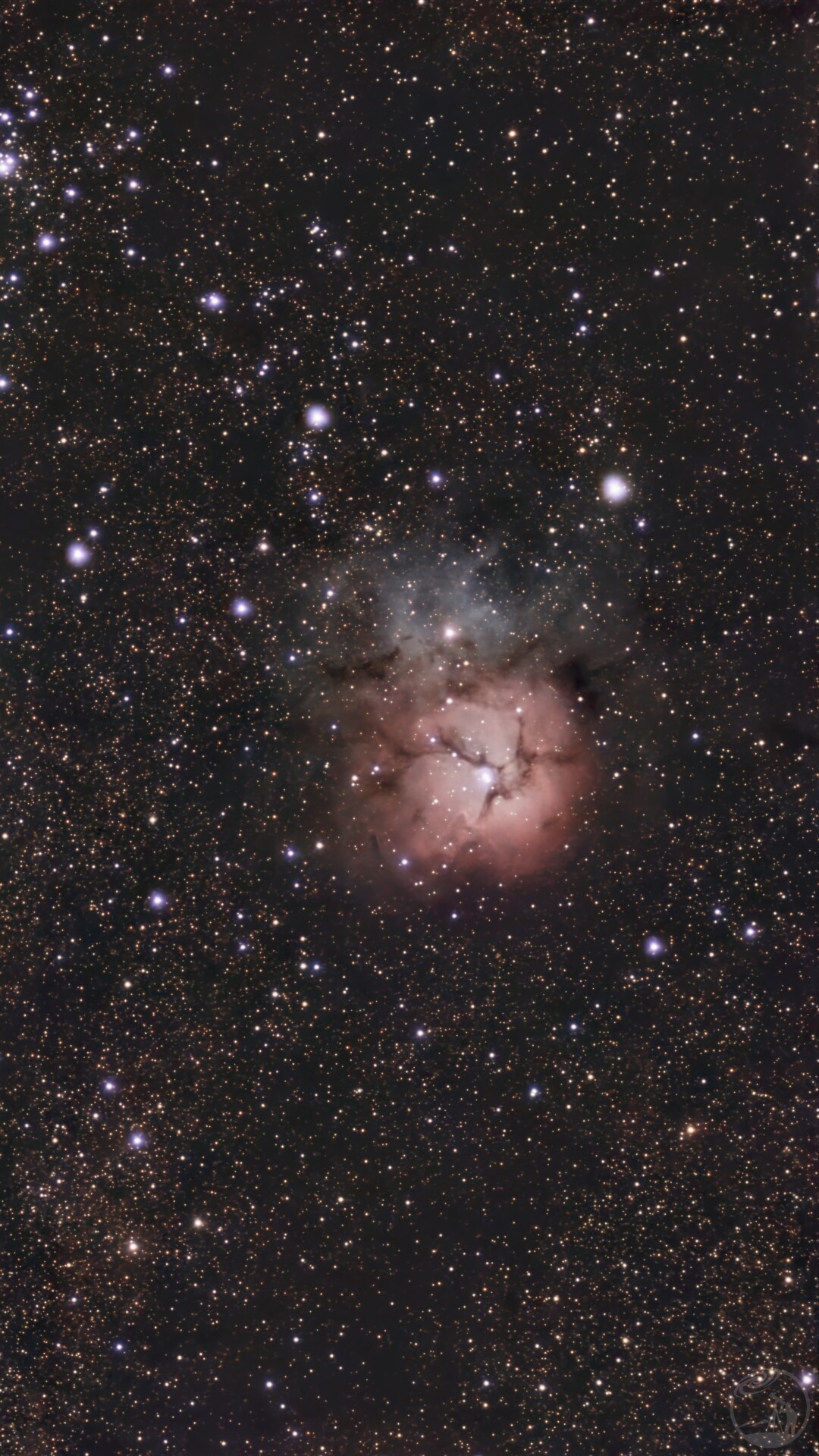S50的M20