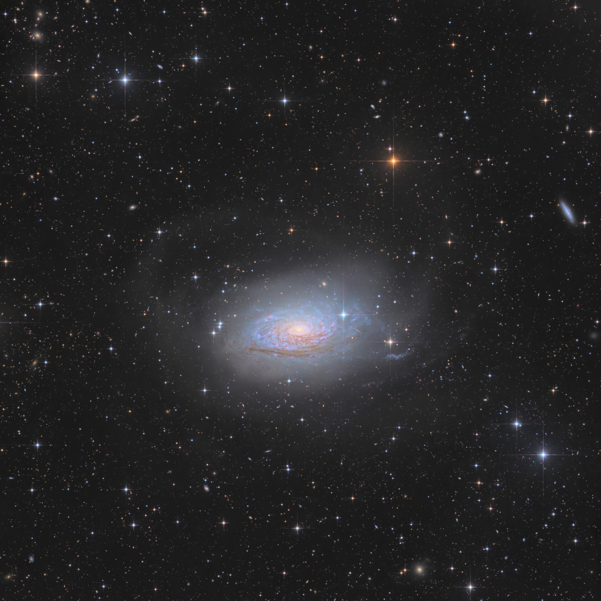 M63