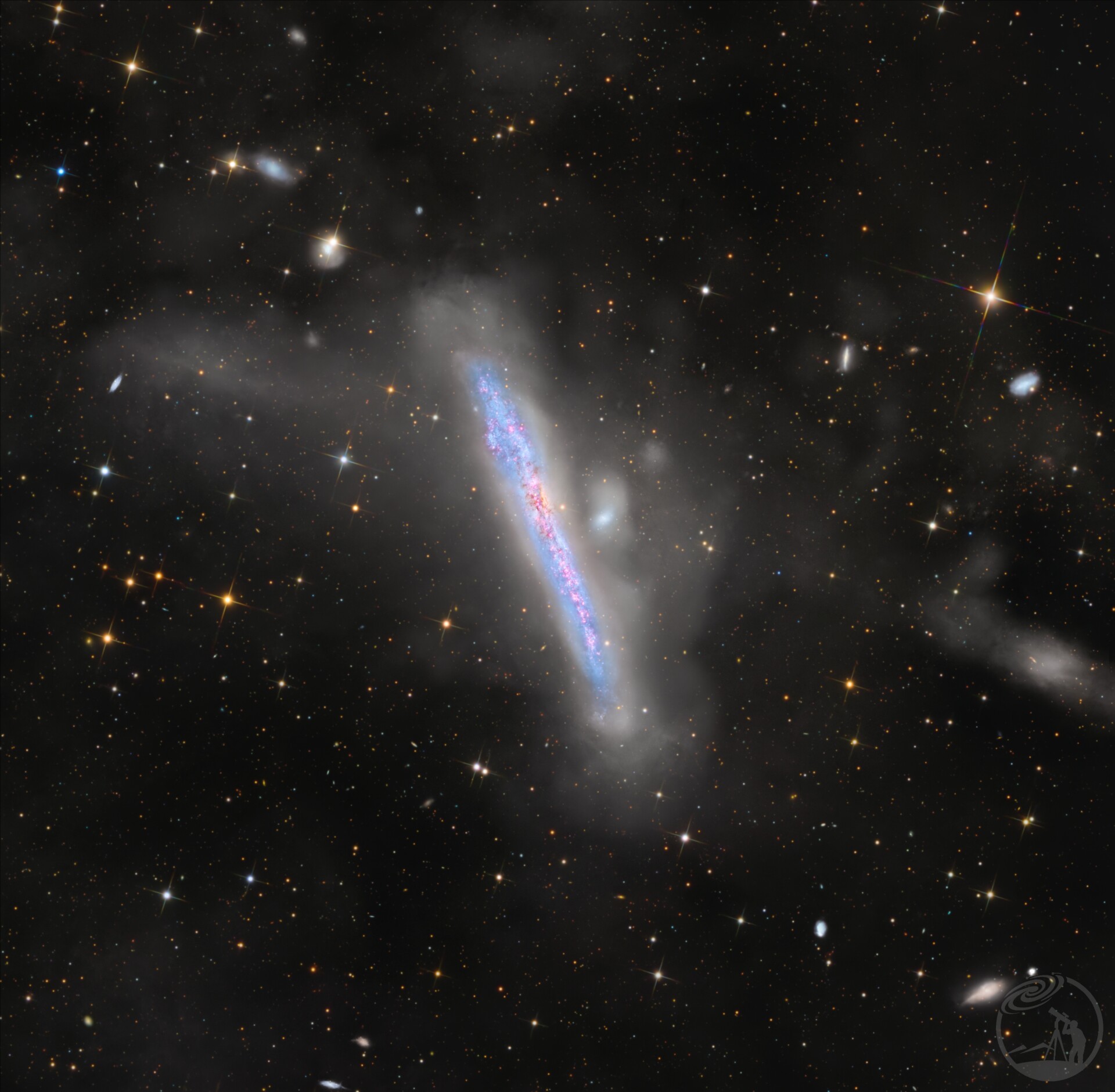 NGC4631（鲸鱼星系）
