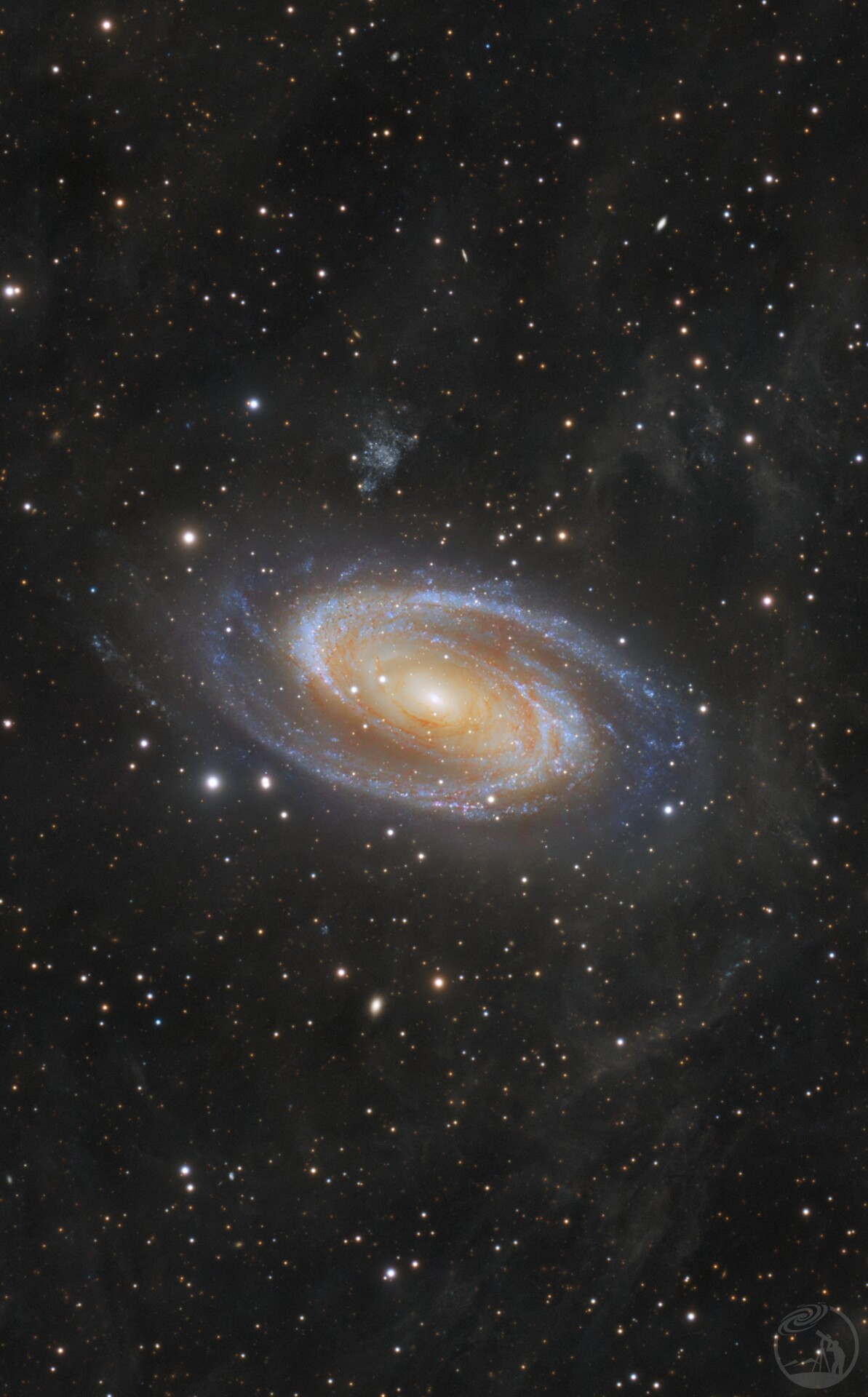 雾中眼M81