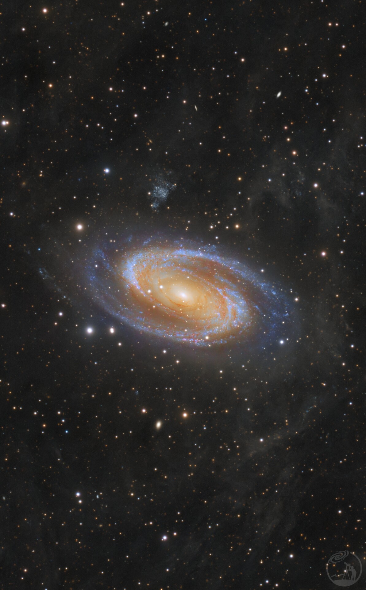 雾中眼M81