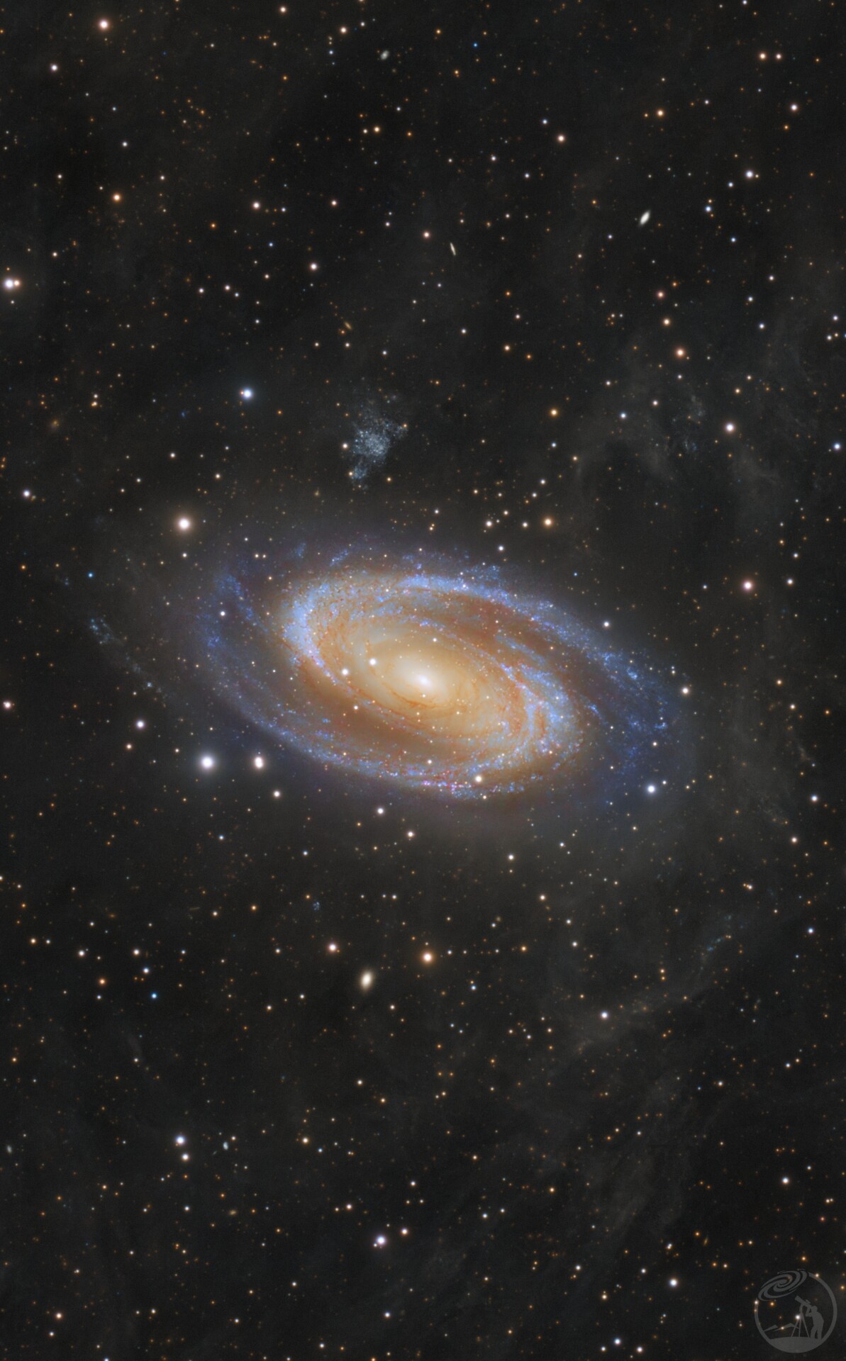 雾中眼M81