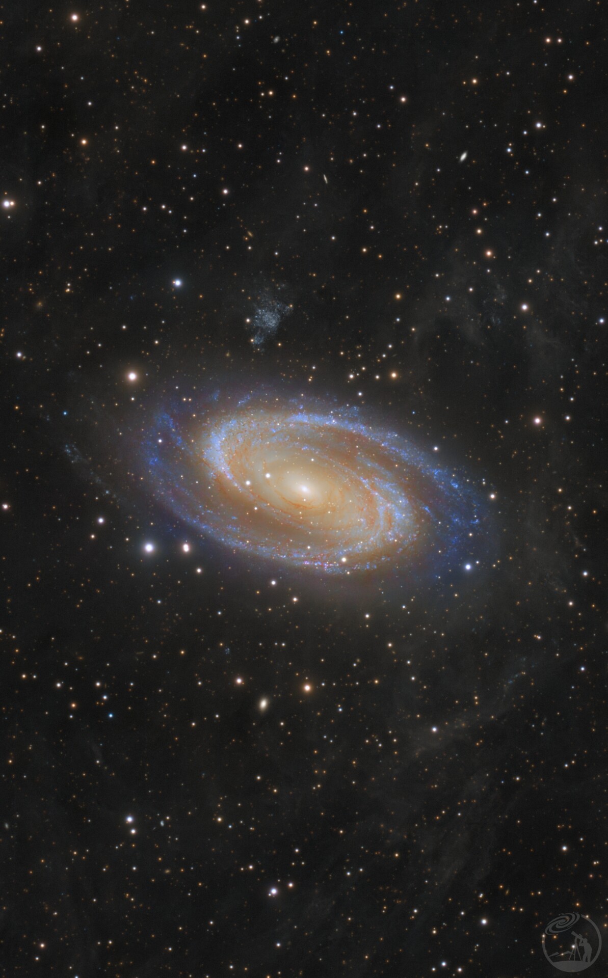 雾中眼M81