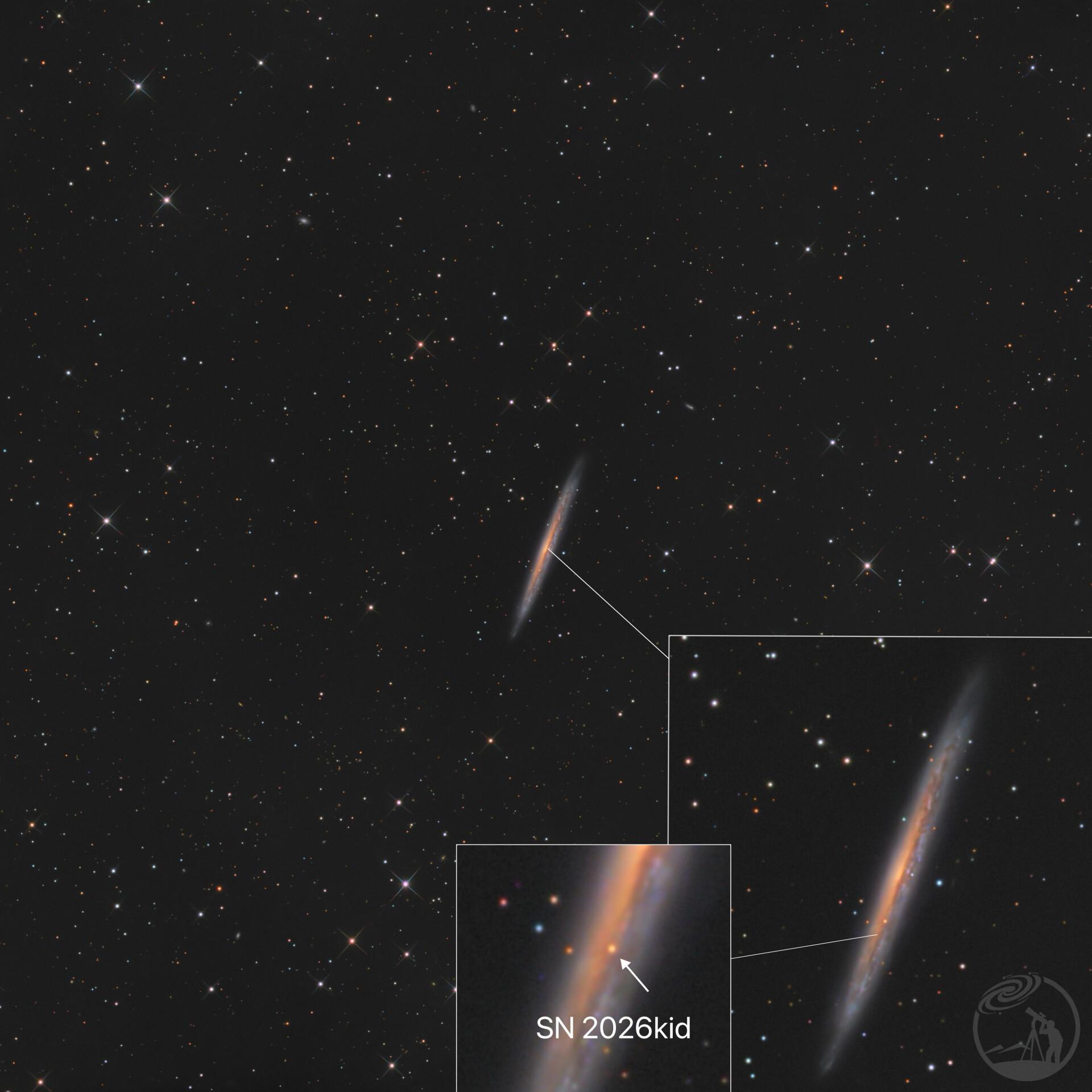 NGC5907 与其超新星 SN 2026kid (2026.4.30)
