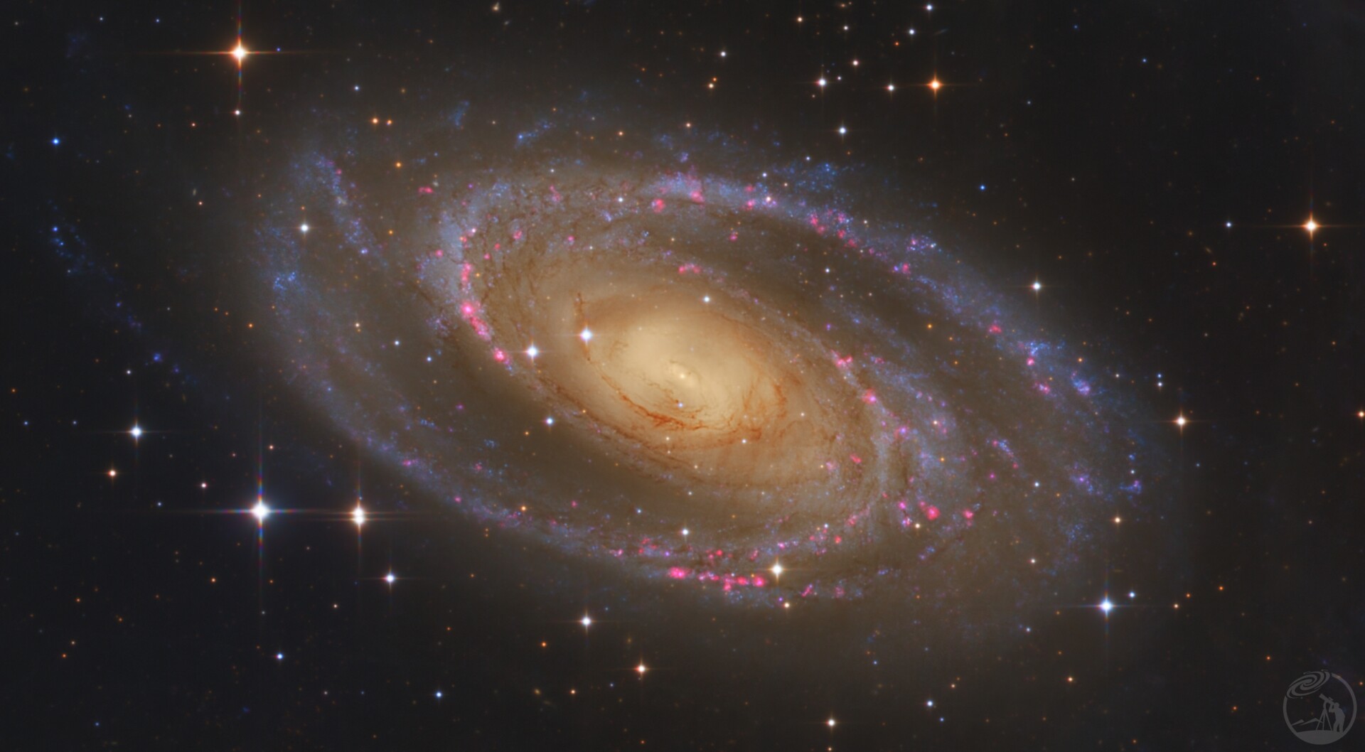 M81核心
