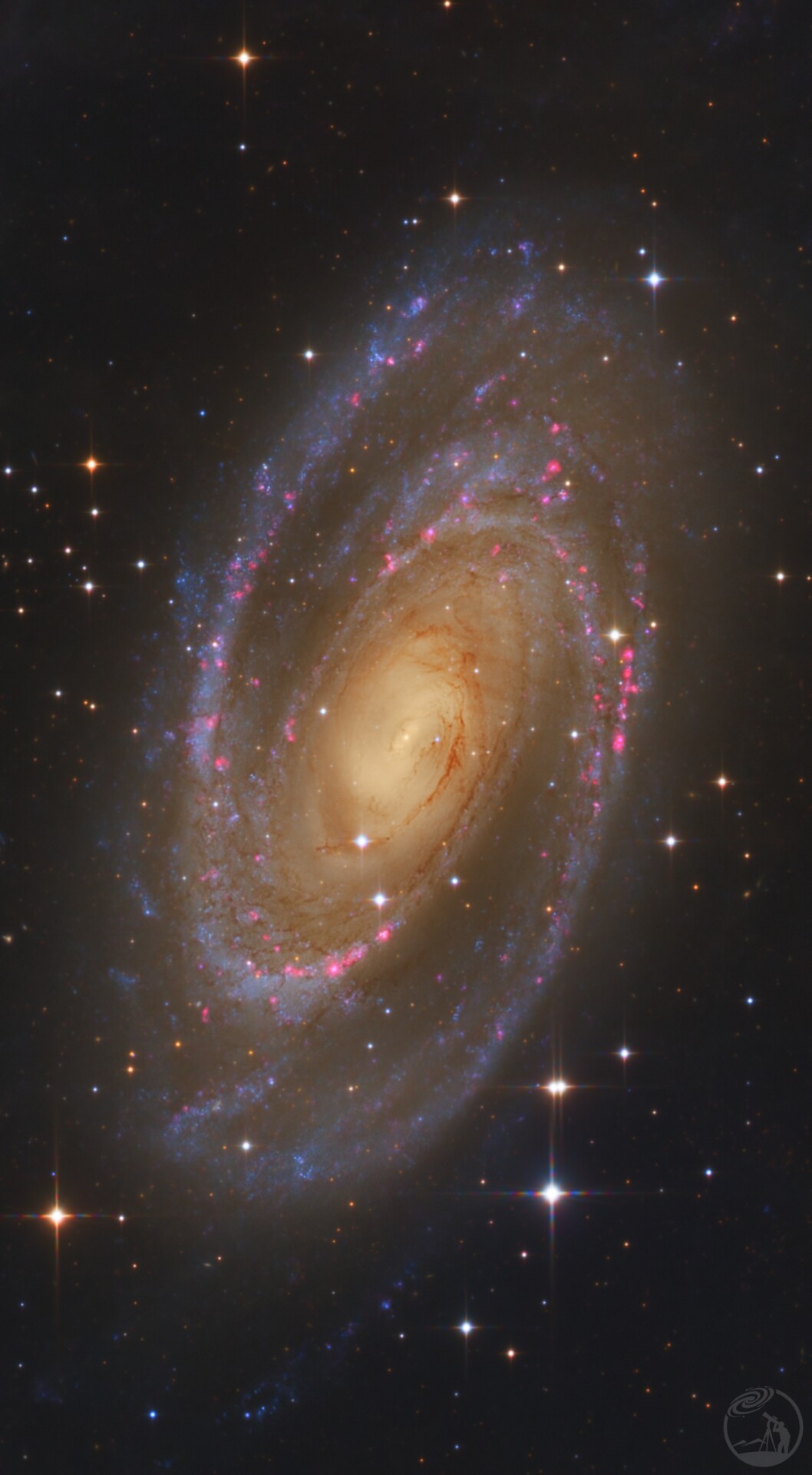 M81核心