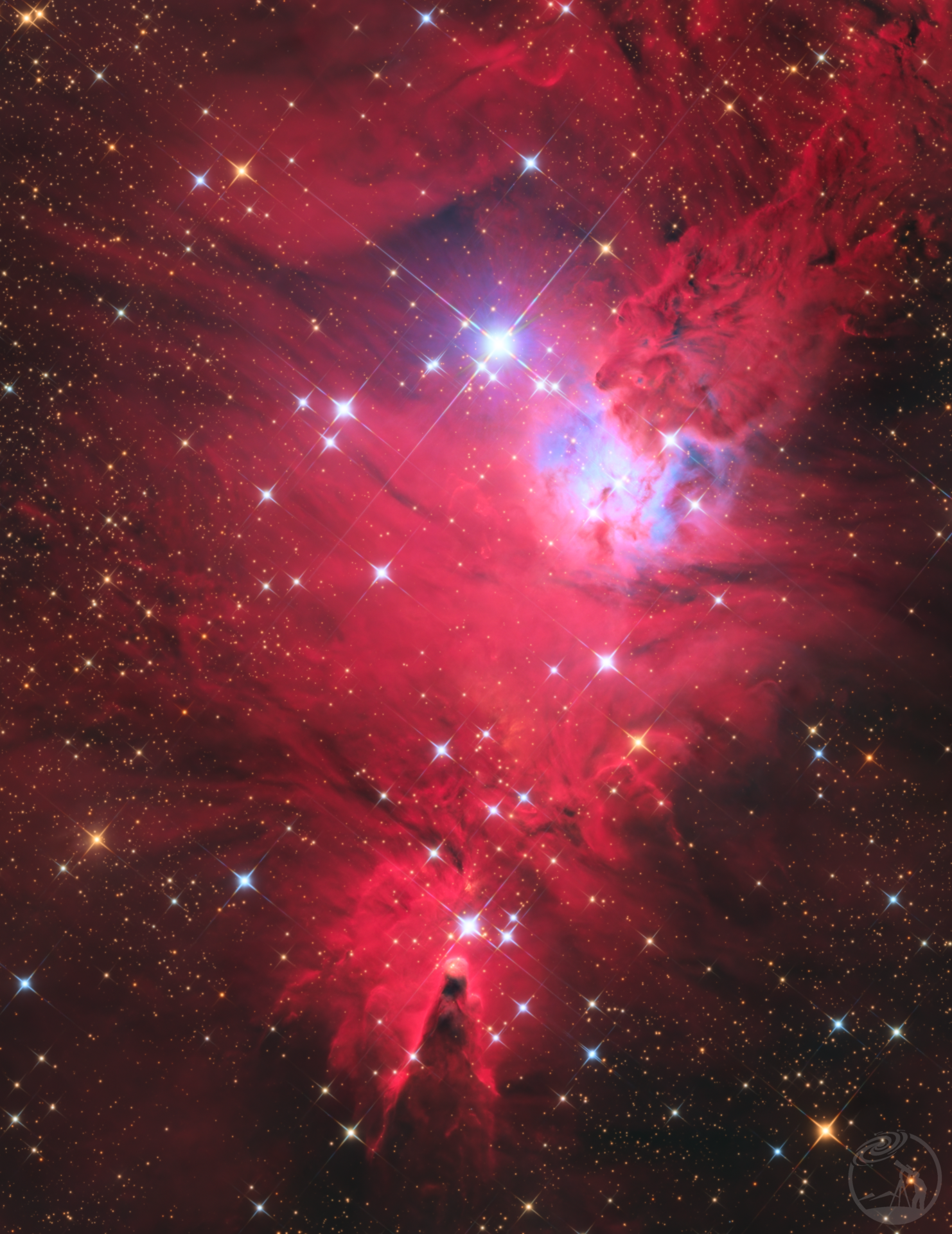 NGC2264圣诞树星云——锥云狐绒