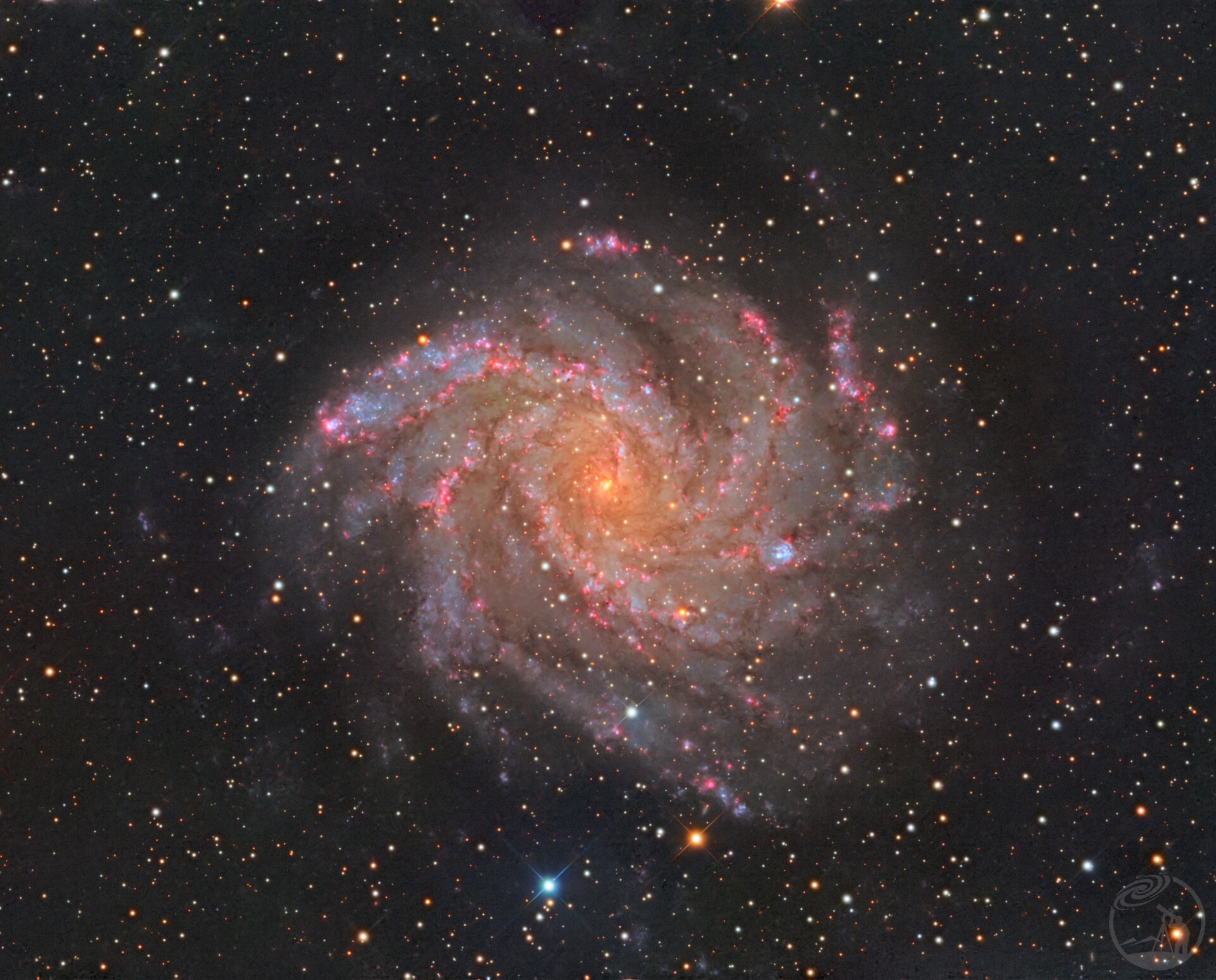 NGC6946