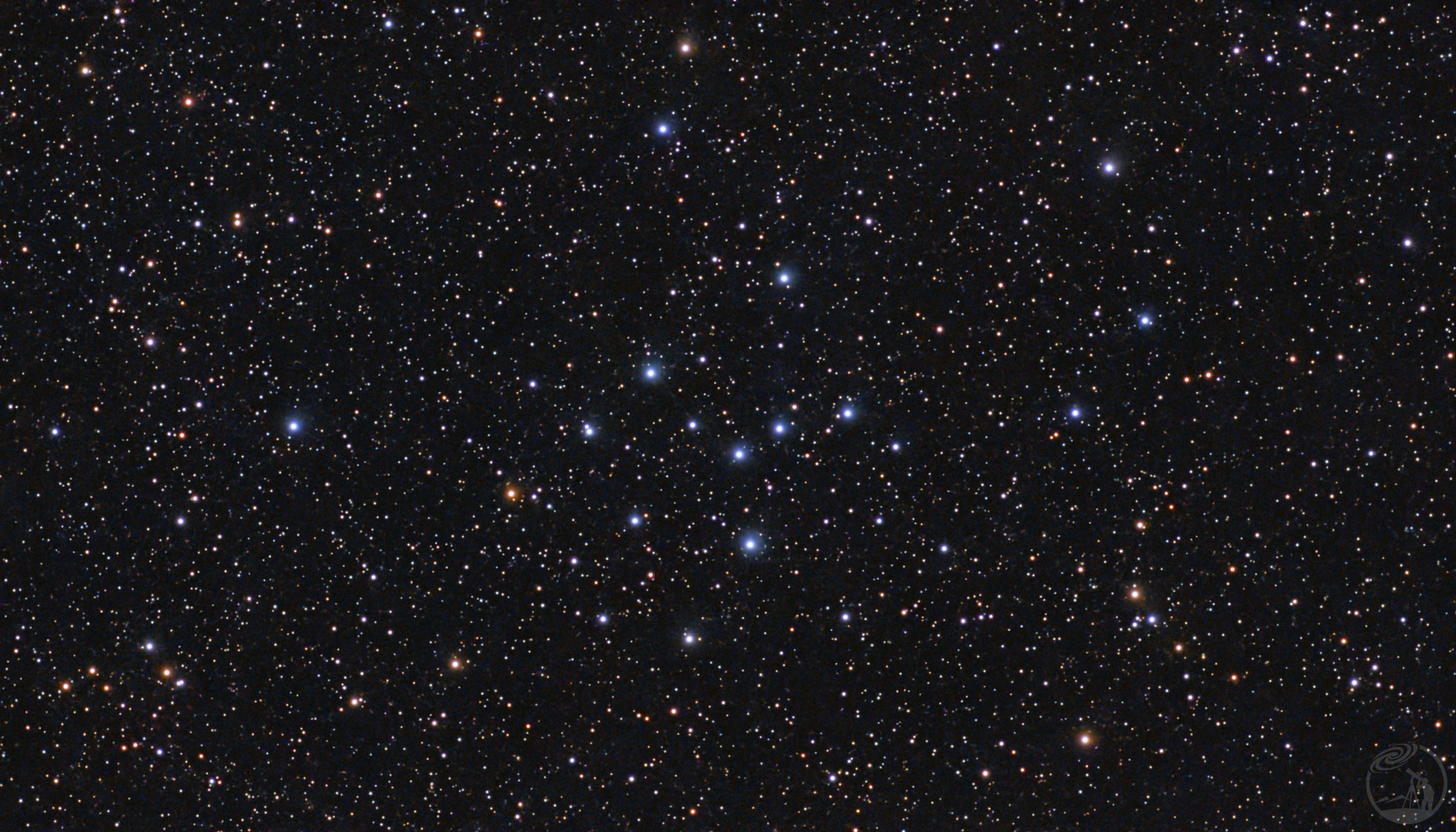 夏季蜂巢IC4665