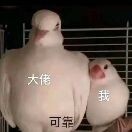guywhowanttofktt