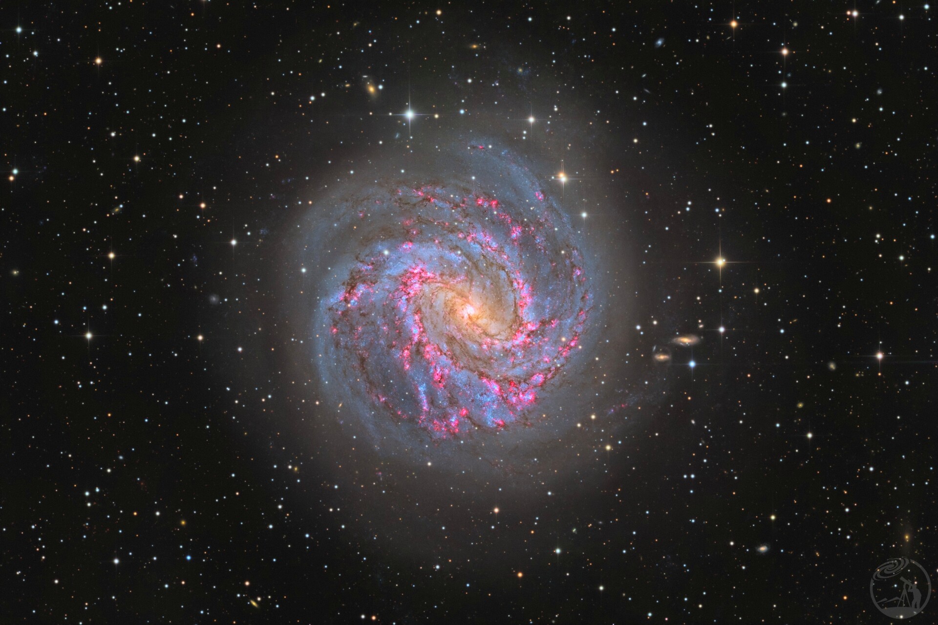 m83