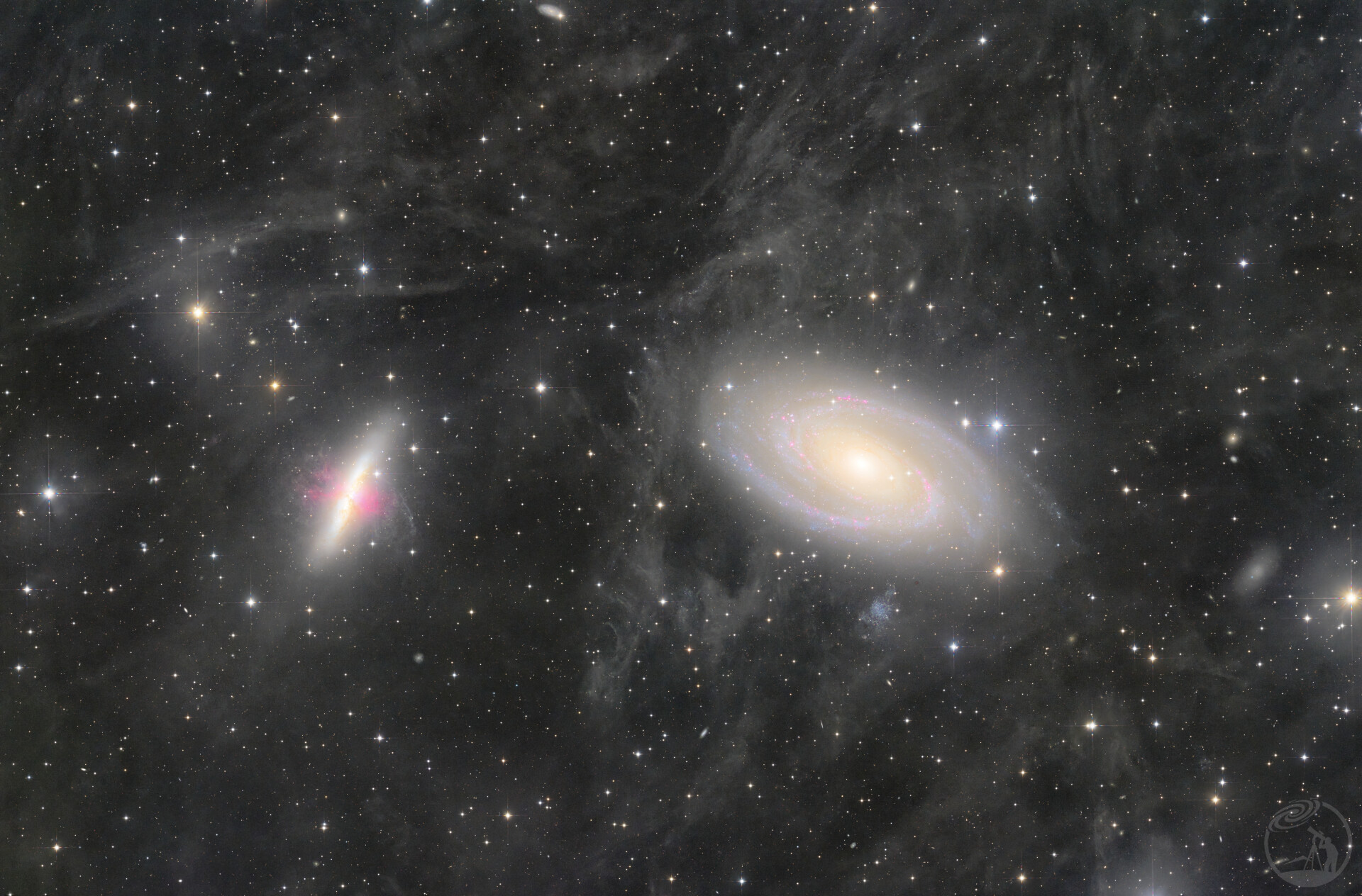 M81