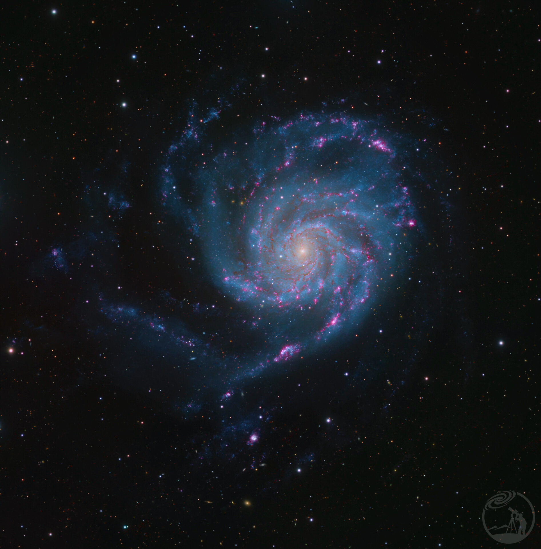 M101