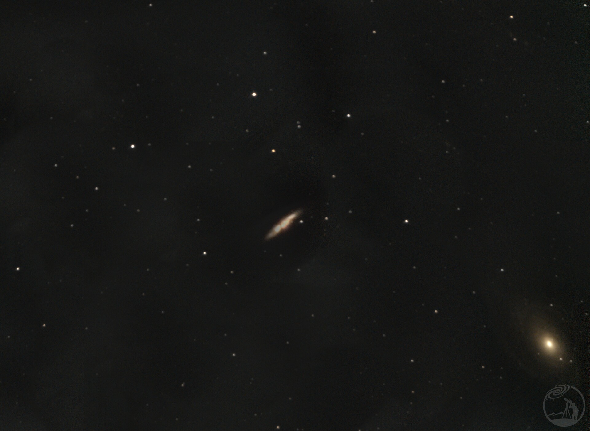 M81
