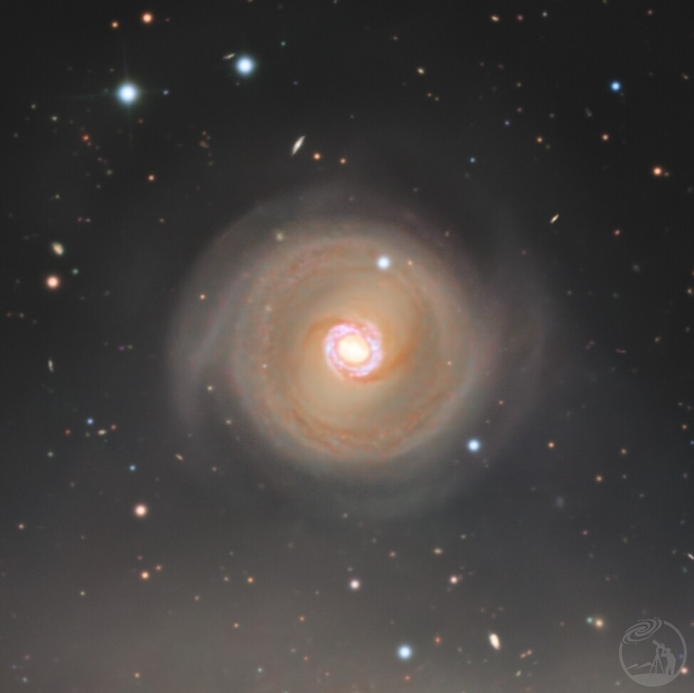 NGC1316